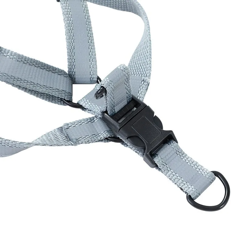 Adjustable Pet Harness, Medium, 3 Asstd Colours