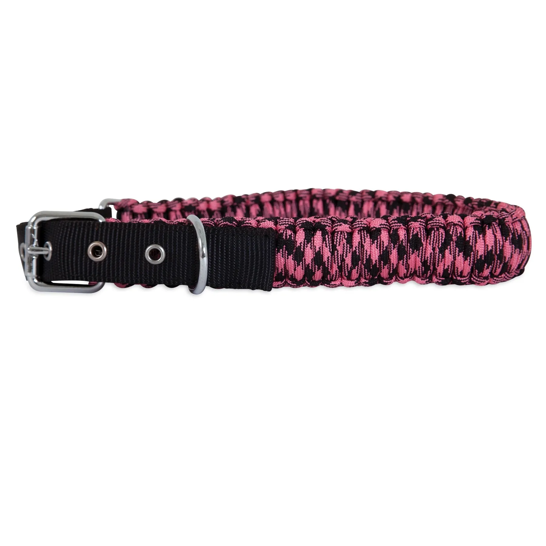 Aspen Pet Paracord Dog Collar