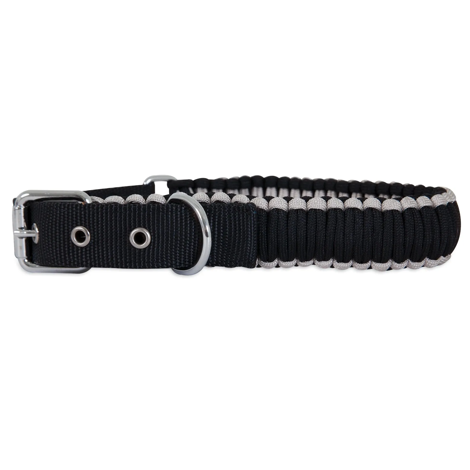 Aspen Pet Paracord Dog Collar