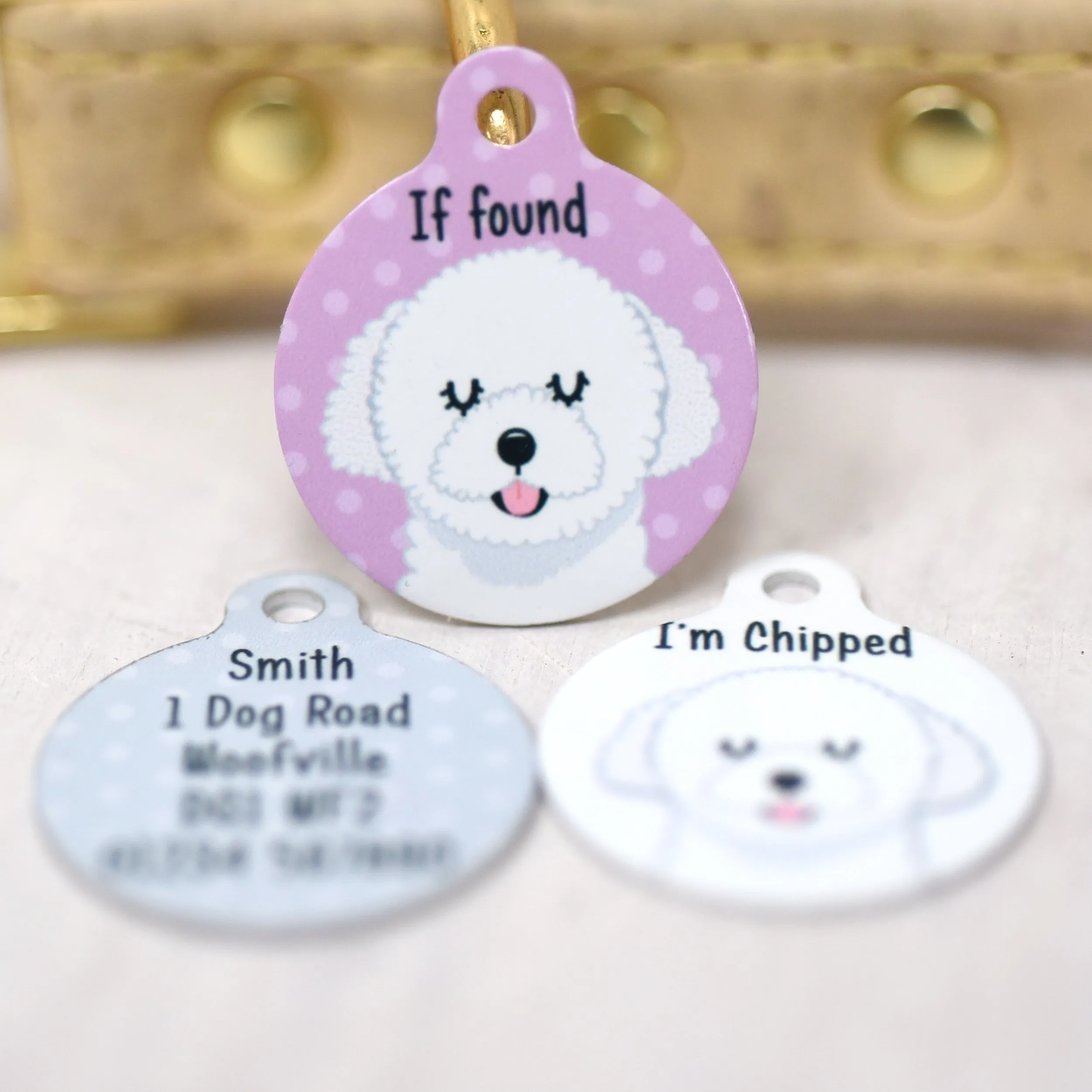 Bolognese Dog Personalised Dog Tag Polka