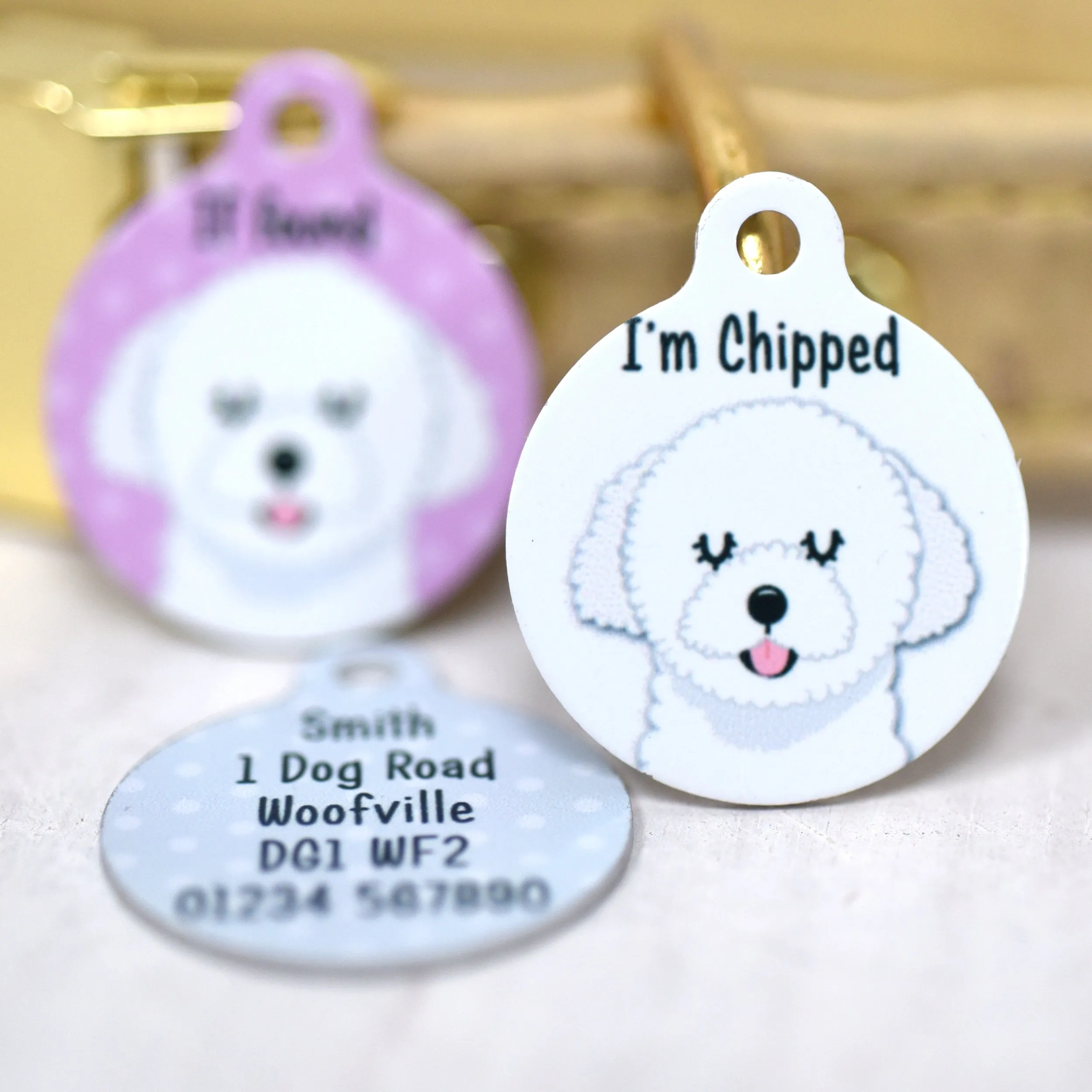 Bolognese Dog Personalised Dog Tag Polka