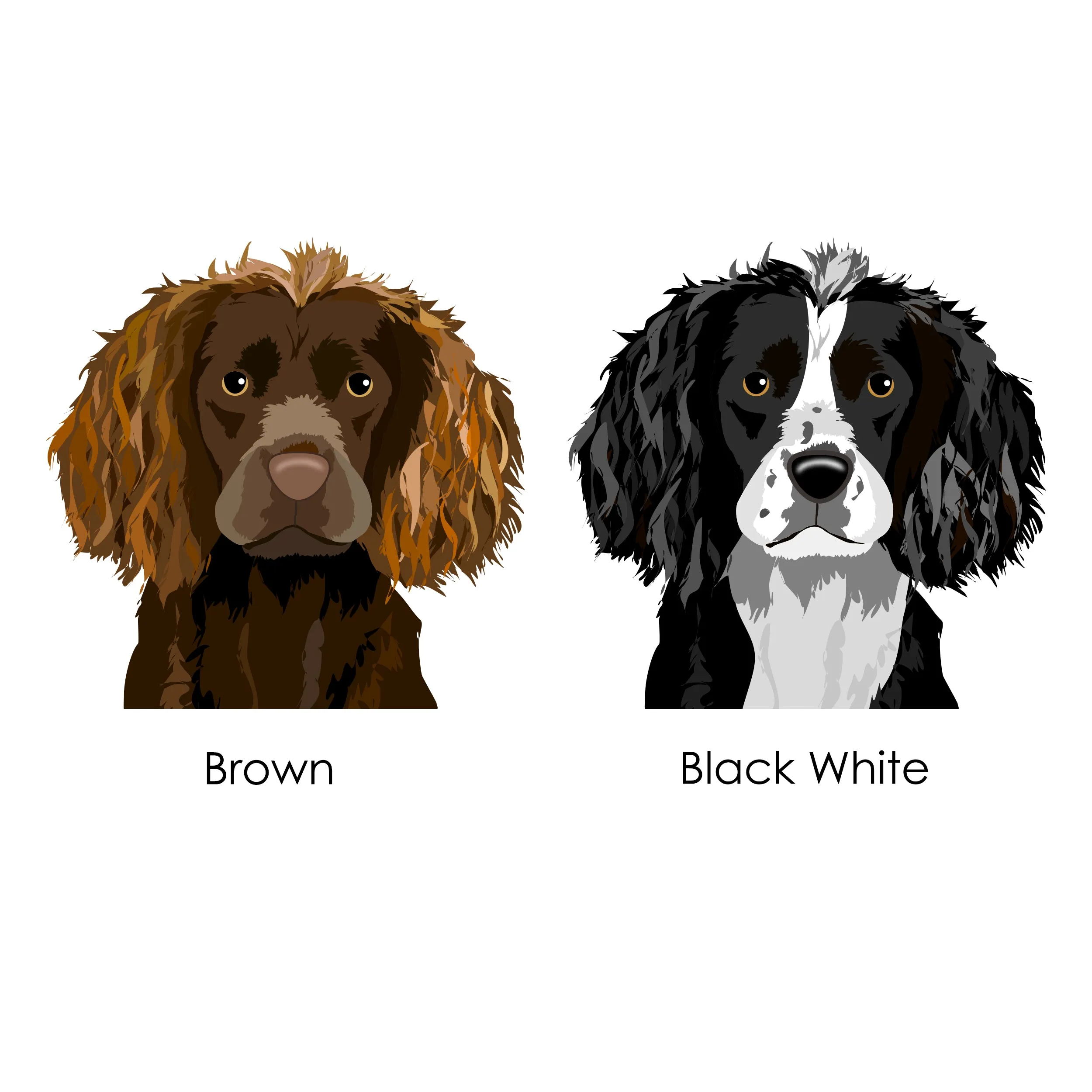 Boykin Spaniel Personalised Dog ID Tag