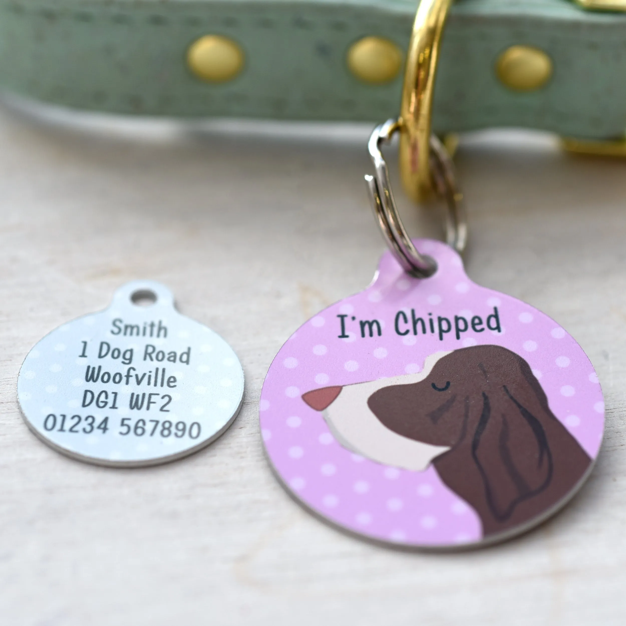 Bracco Italiano Personalised Dog Tag