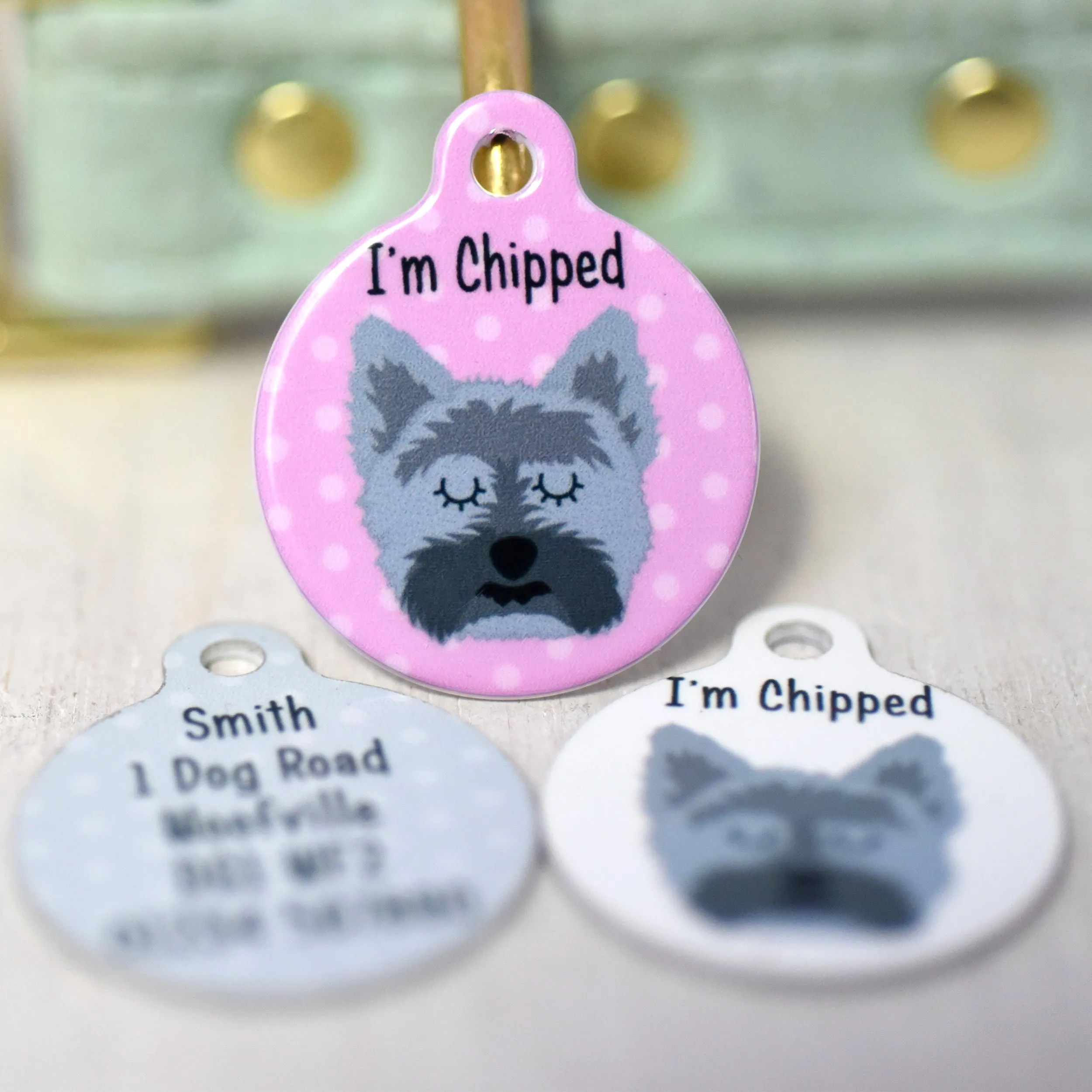 Cairn Terrier Dog Tag