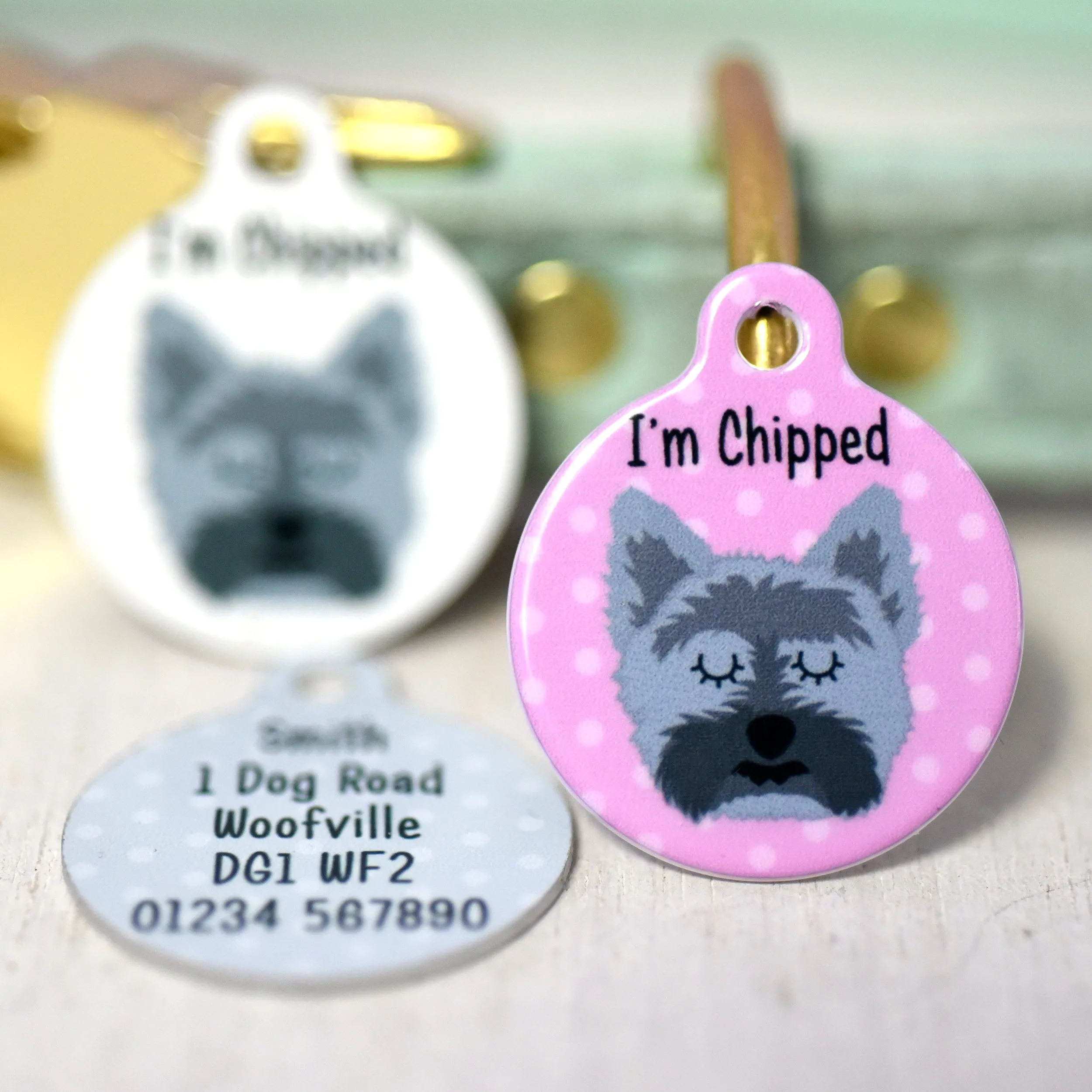 Cairn Terrier Dog Tag