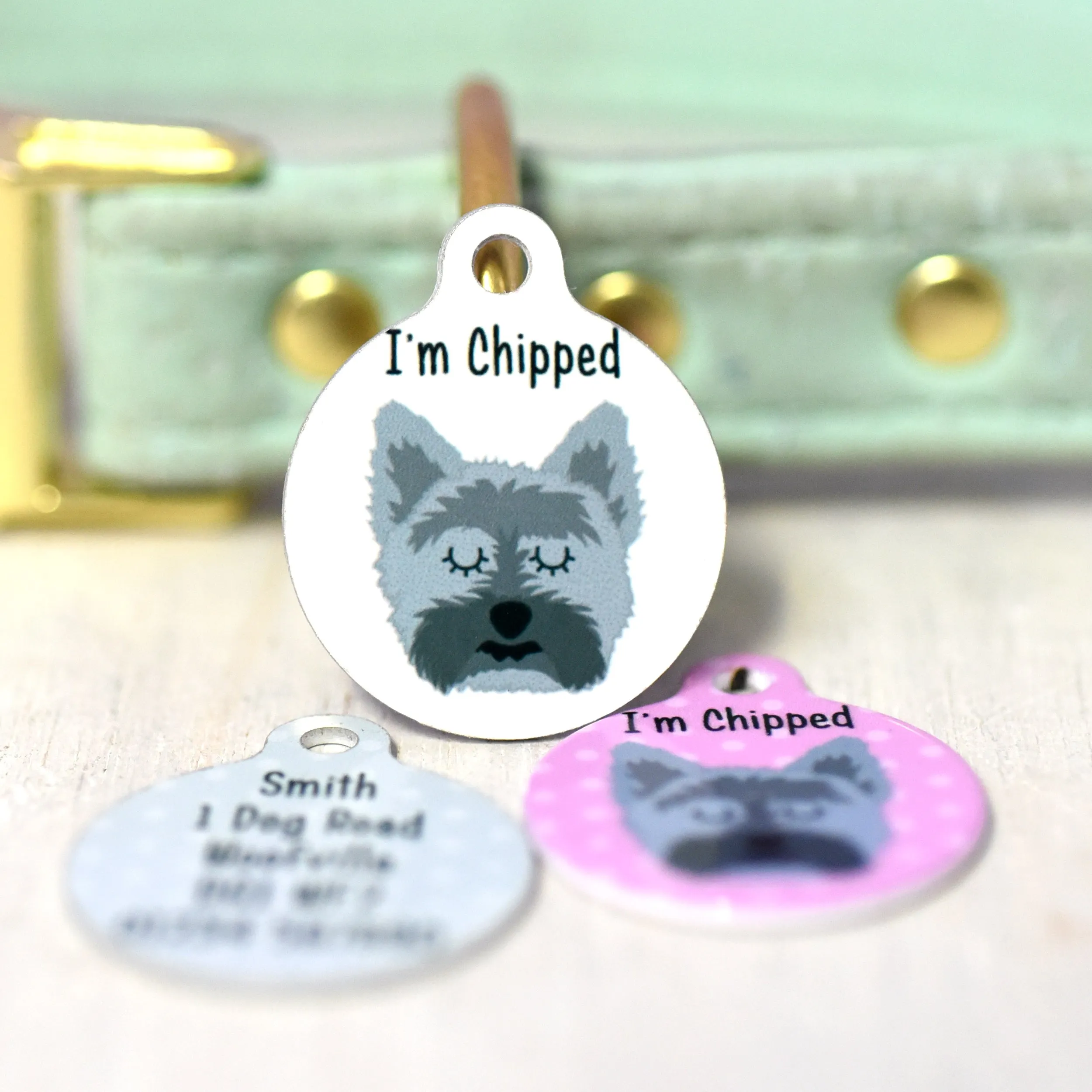 Cairn Terrier Dog Tag