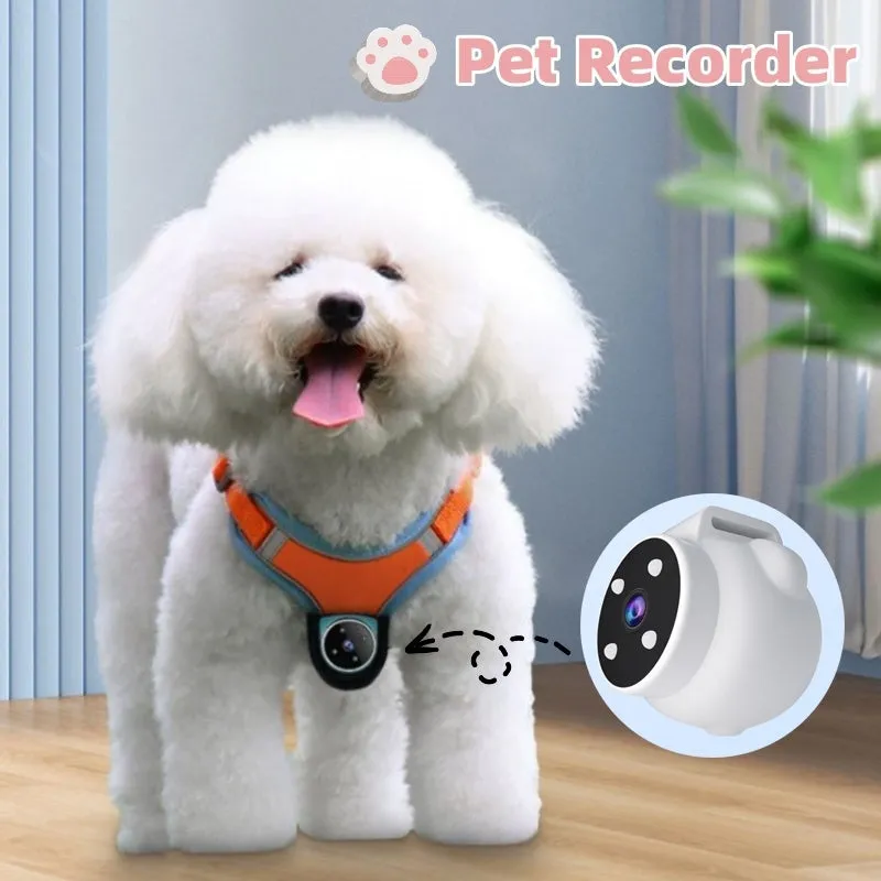 Cat and Dog Collars with Tracking Camera, Pet Products