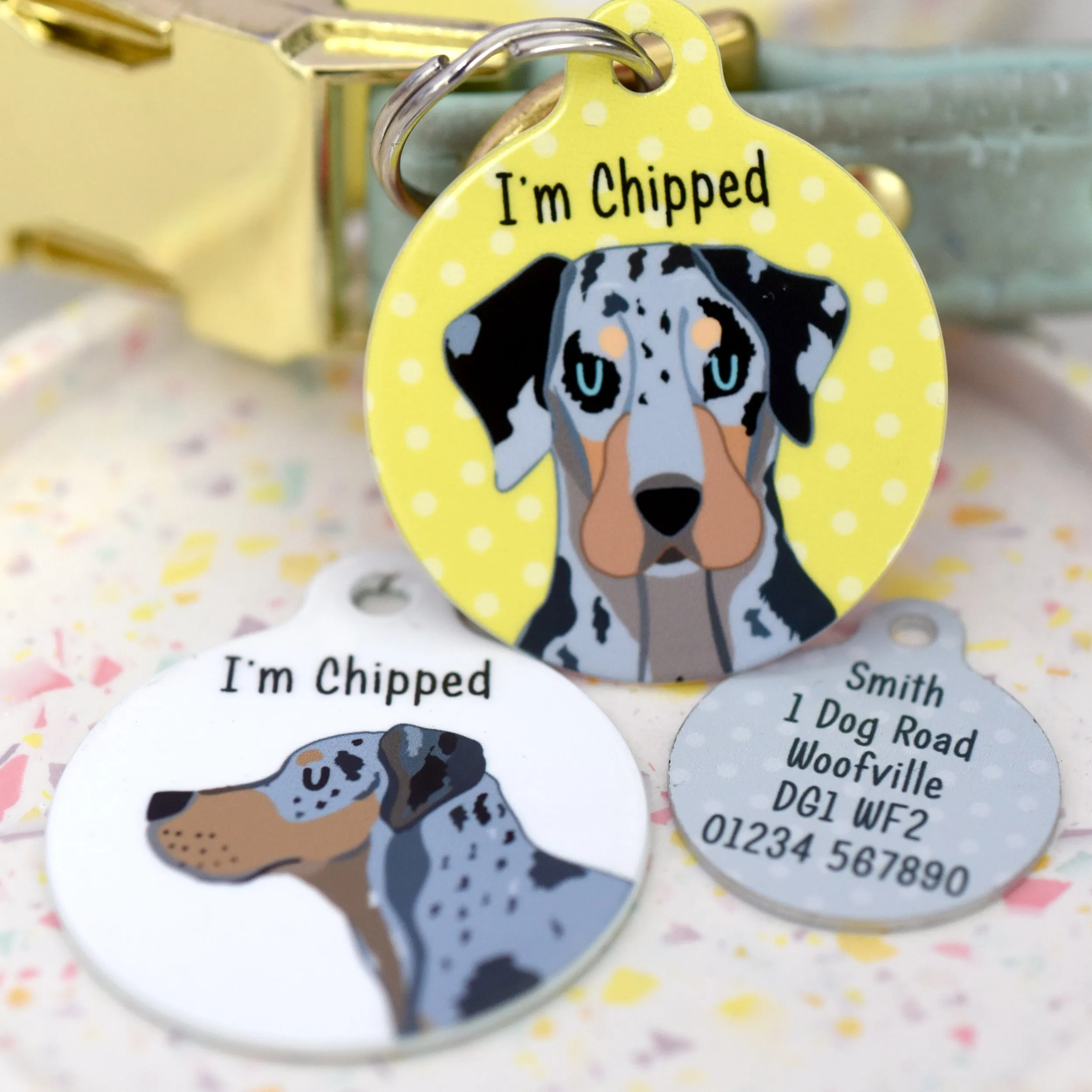 Catahoula Leopard Dog Personalised Dog ID Tag