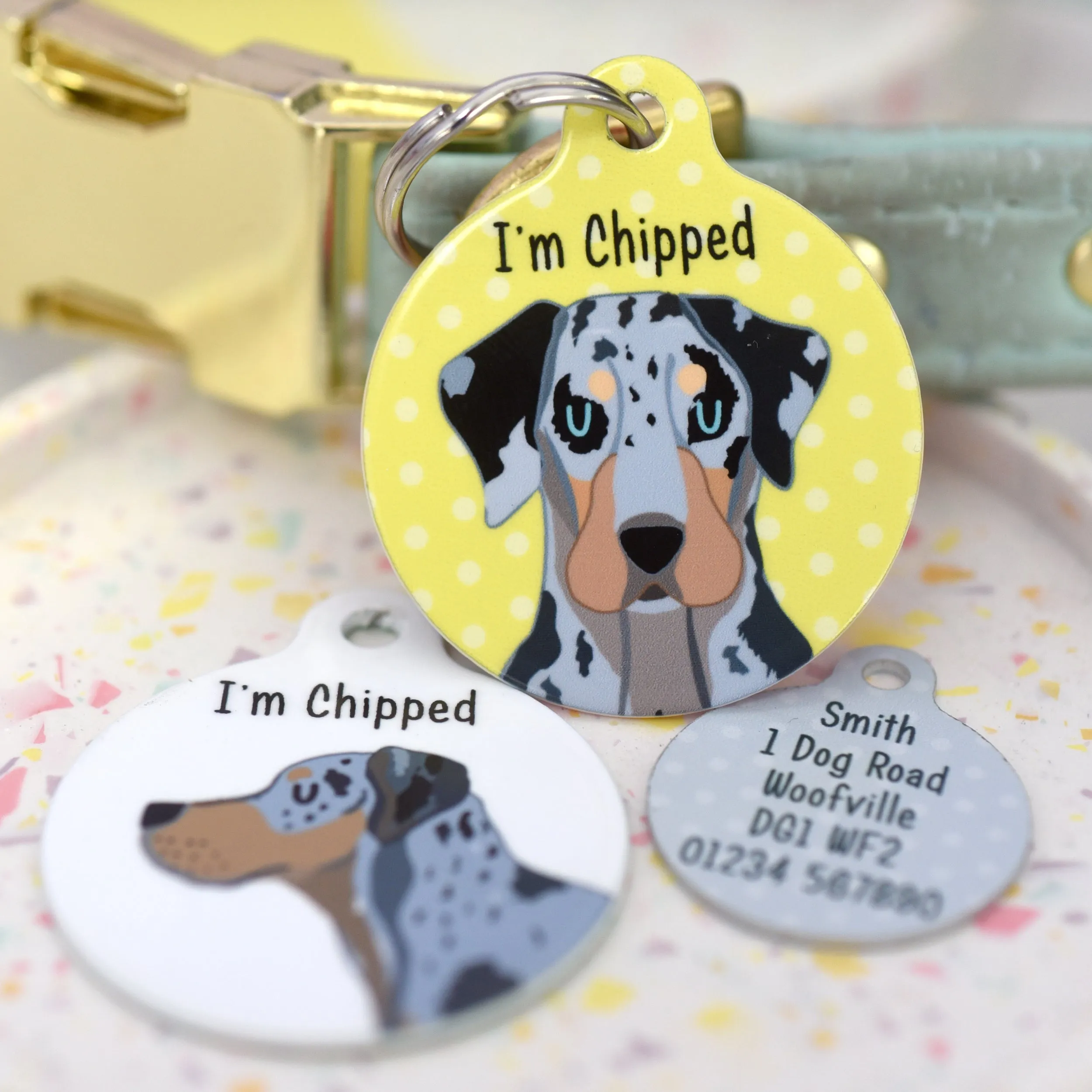 Catahoula Leopard Dog Personalised Dog ID Tag