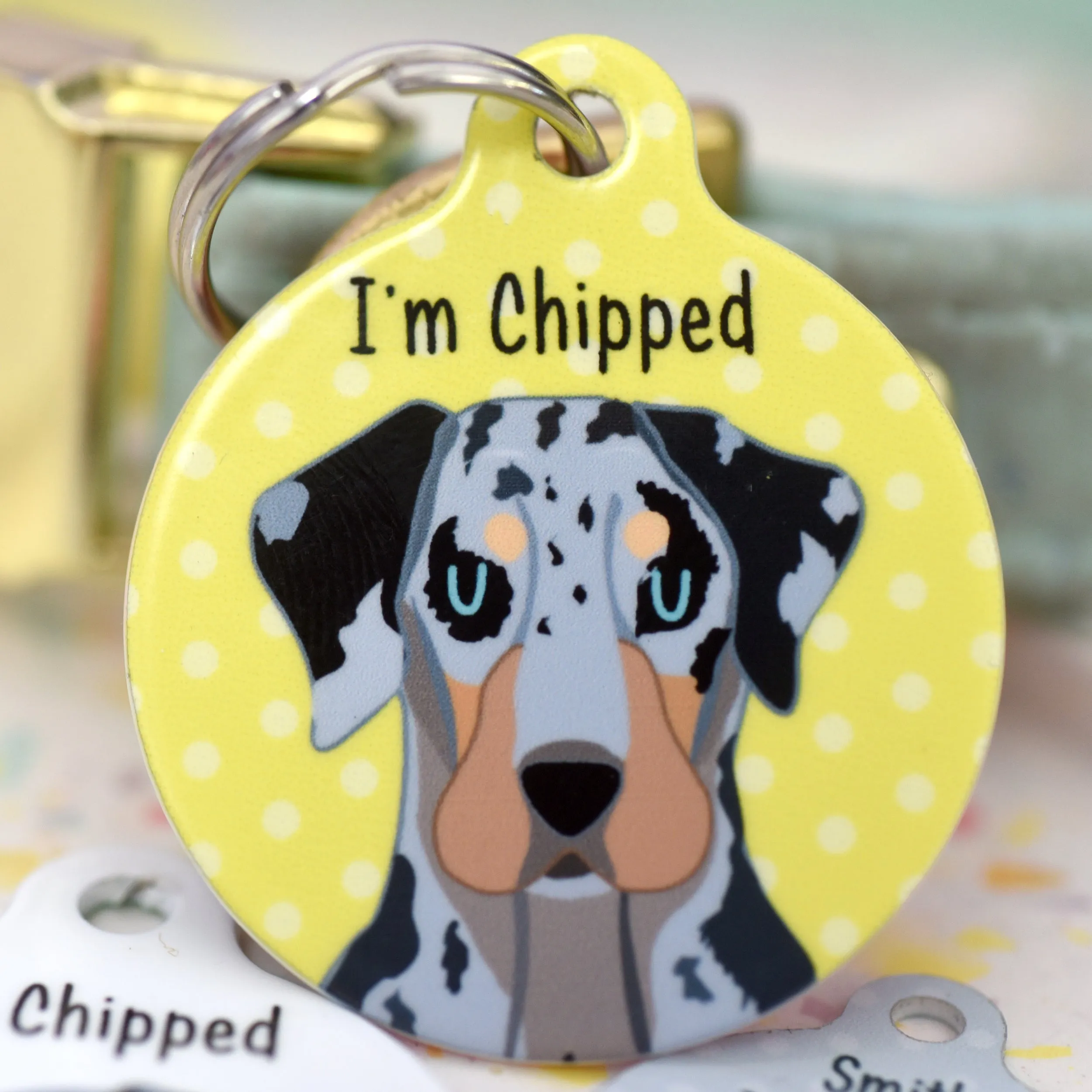 Catahoula Leopard Dog Personalised Dog ID Tag