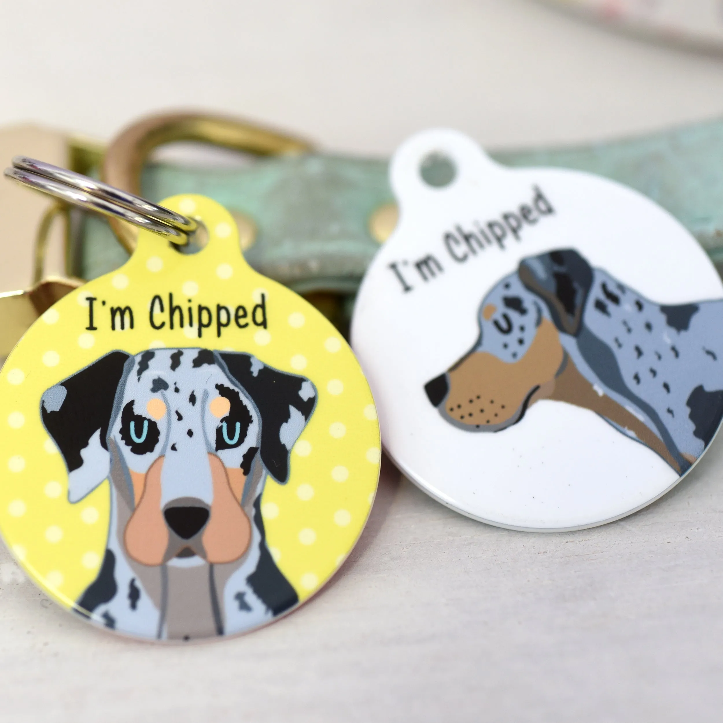 Catahoula Leopard Dog Personalised Dog ID Tag