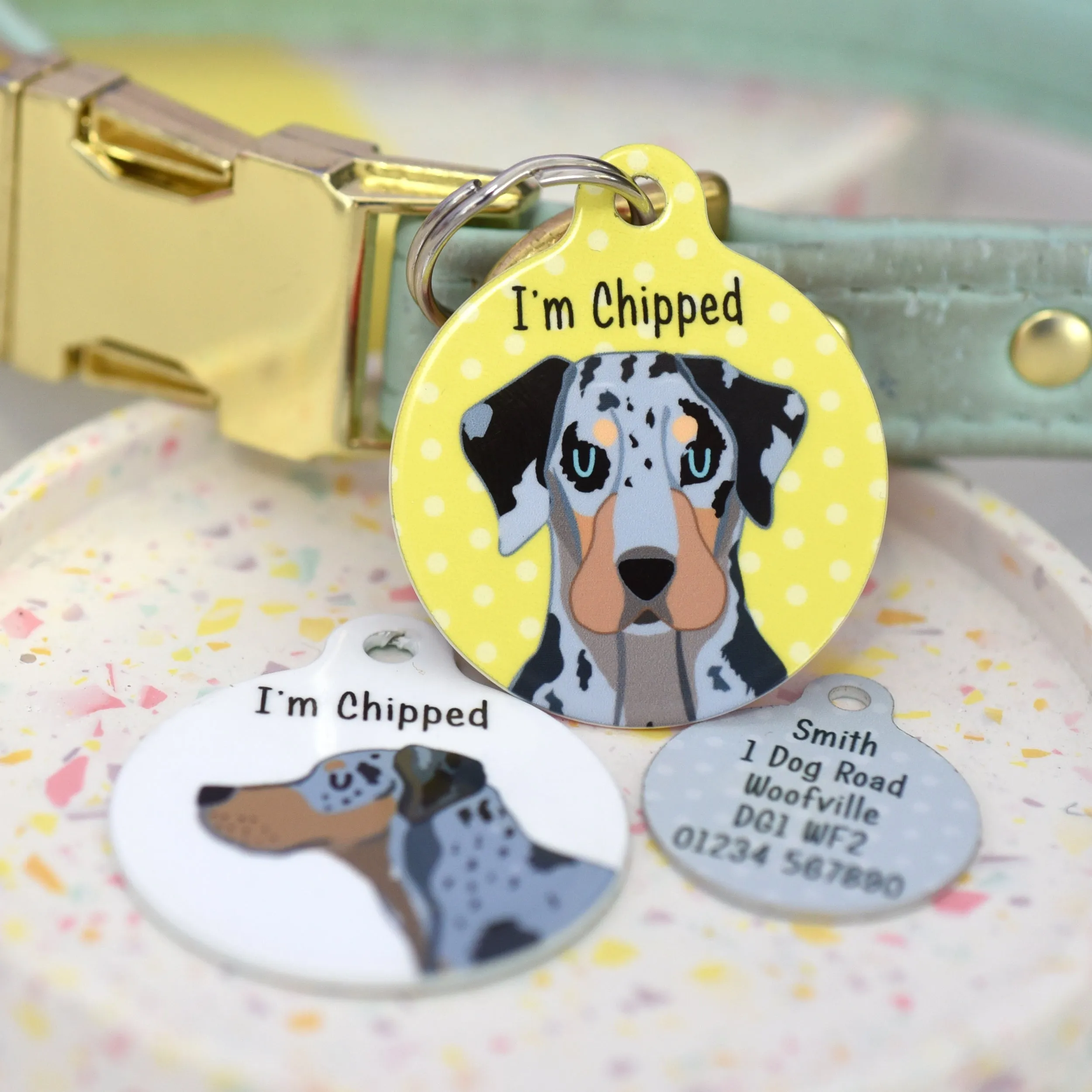 Catahoula Leopard Dog Personalised Dog ID Tag