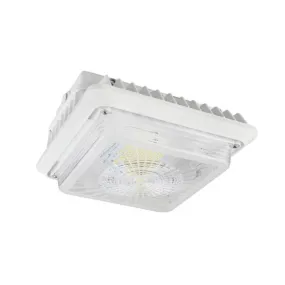 CGL 55W LED Garage/Canopy Light