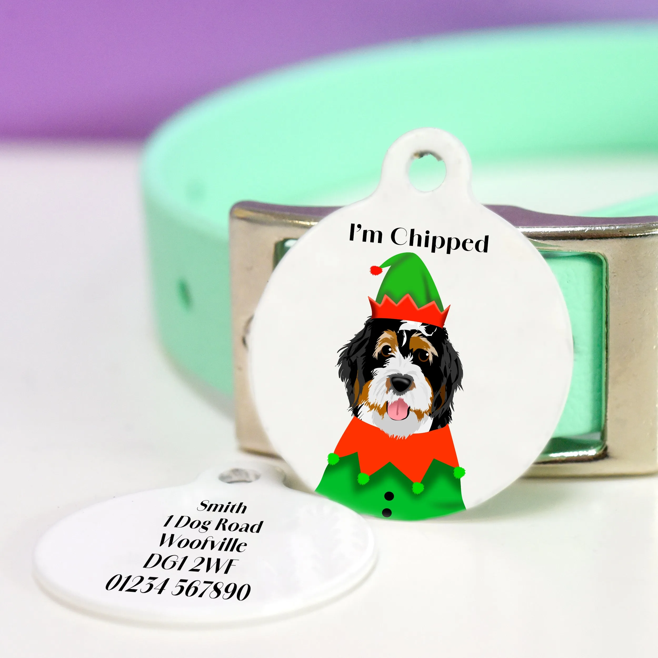 Christmas Personalised Dog ID Tag - Elf Outfit