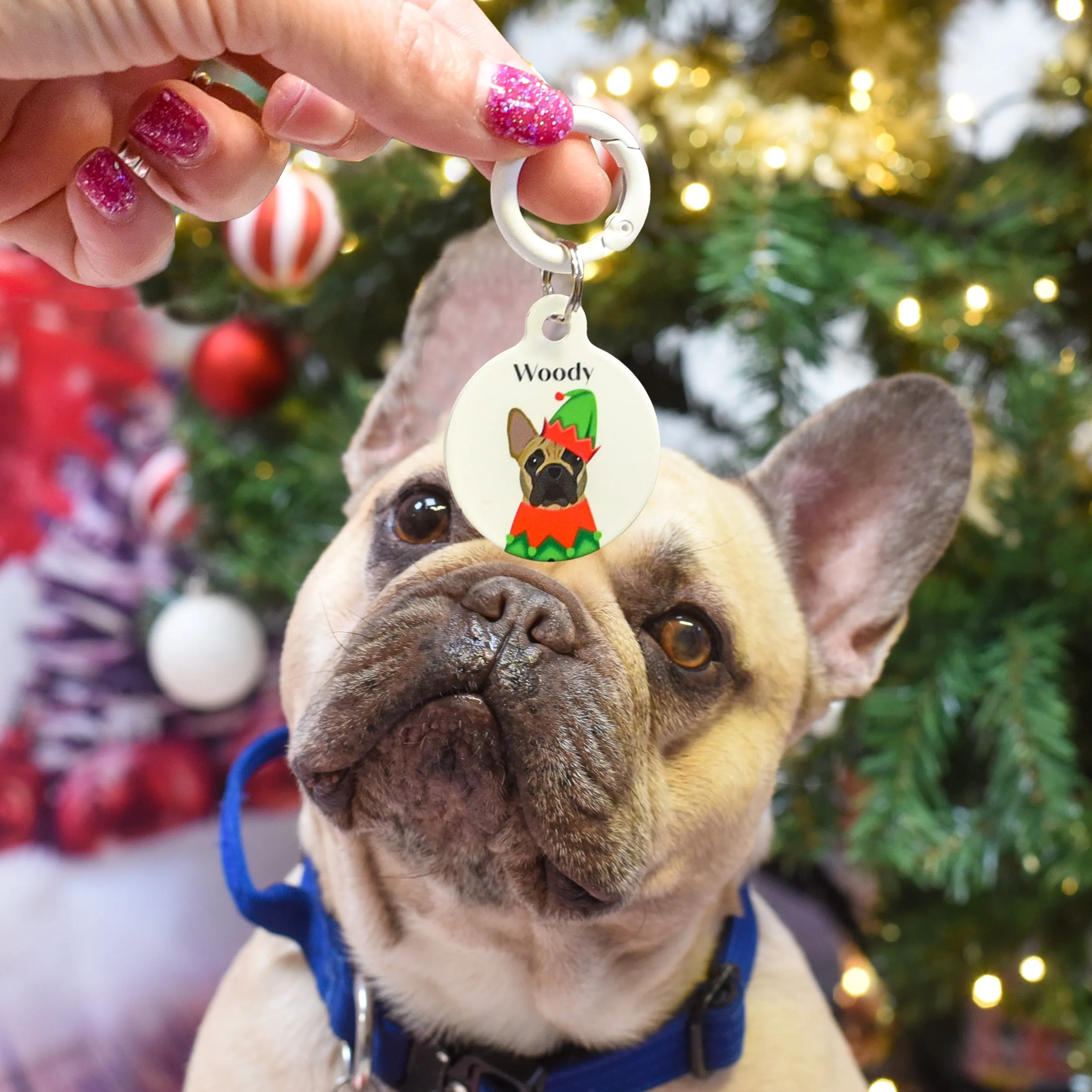 Christmas Personalised Dog ID Tag - Elf Outfit