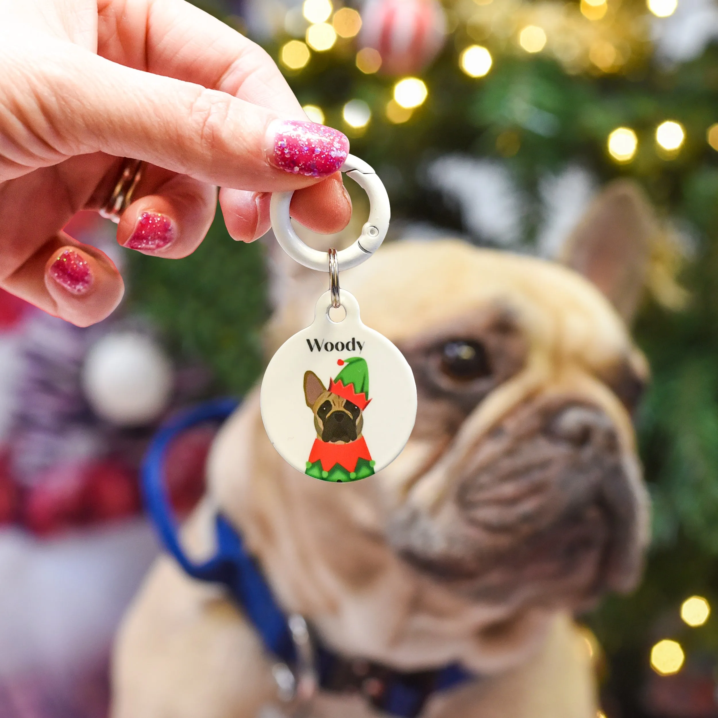 Christmas Personalised Dog ID Tag - Elf Outfit