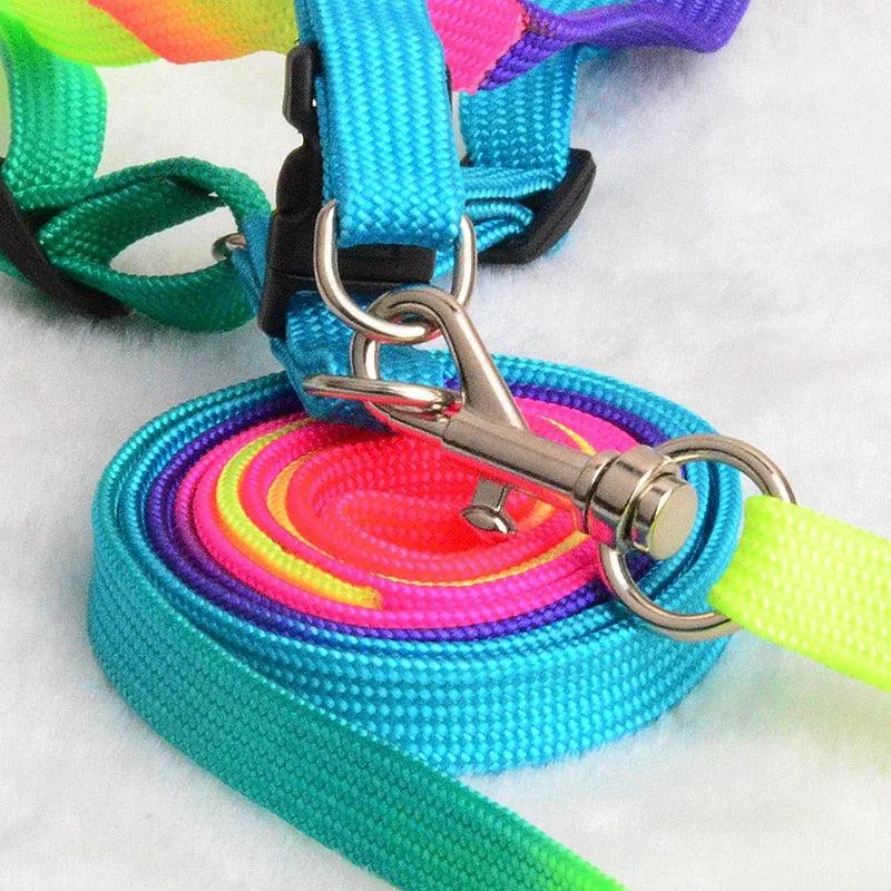 Colorburst Lupine Pet Leash