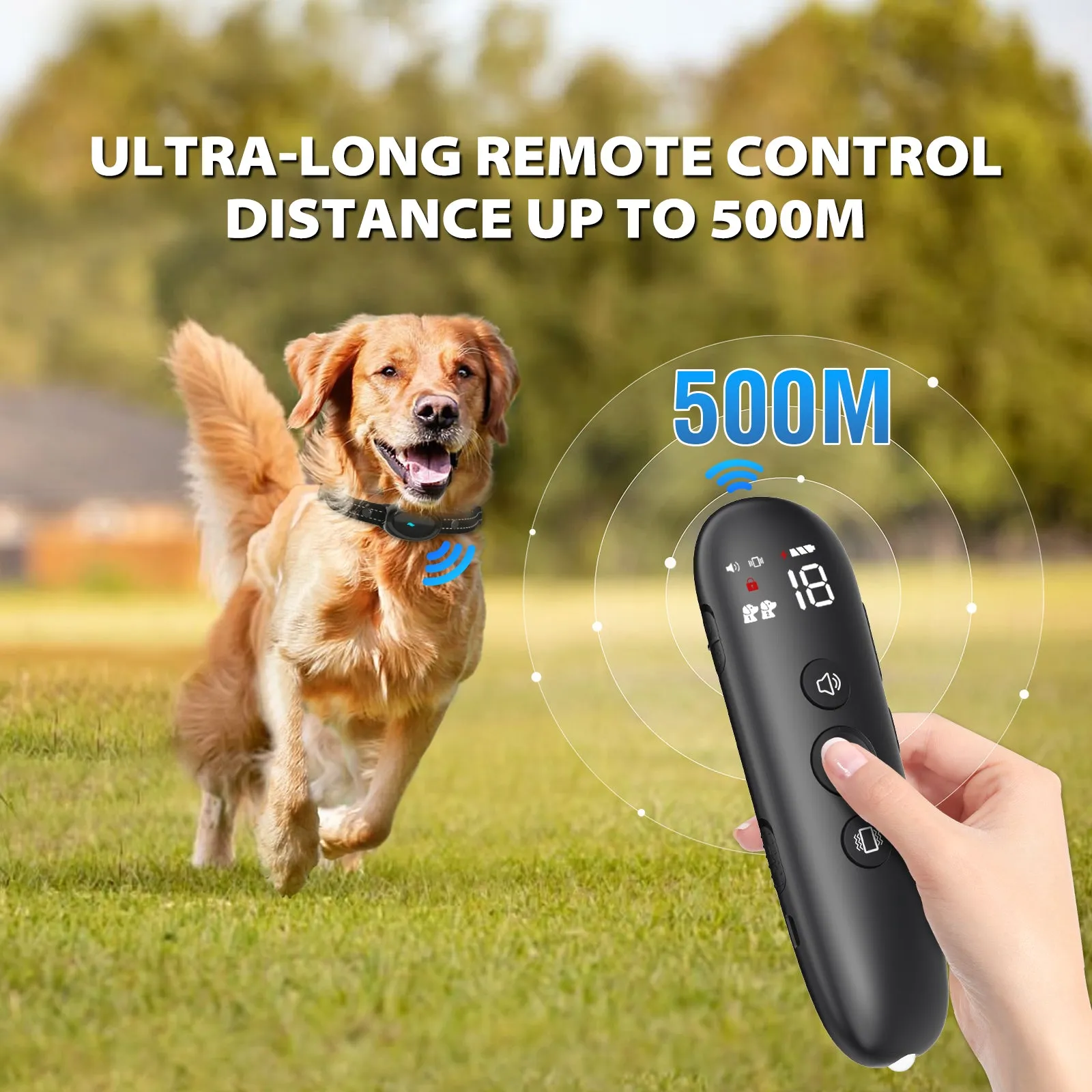 Dog Electronic Training Collar