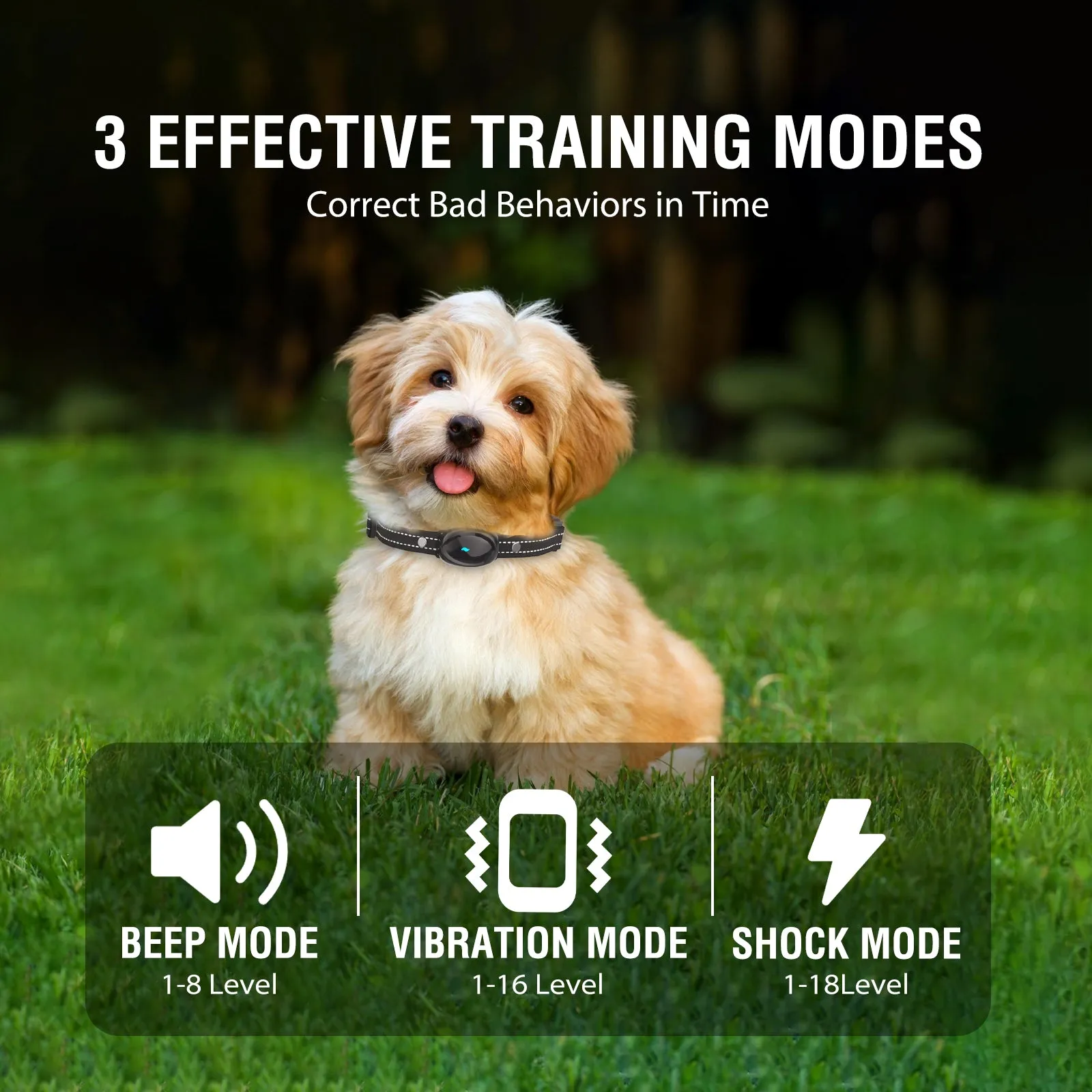 Dog Electronic Training Collar