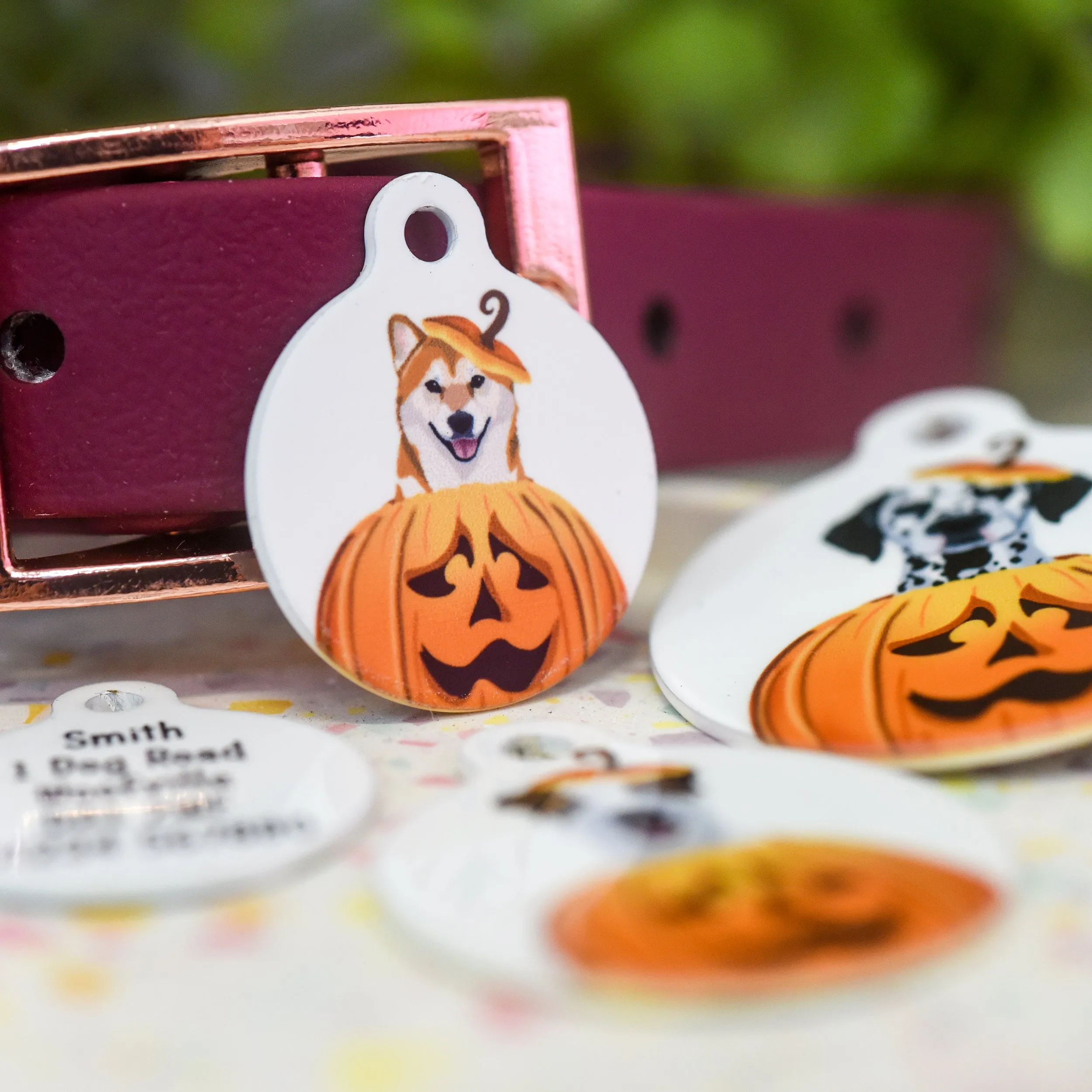 Dog ID Tag Personalised - Cute Pumpkin Halloween