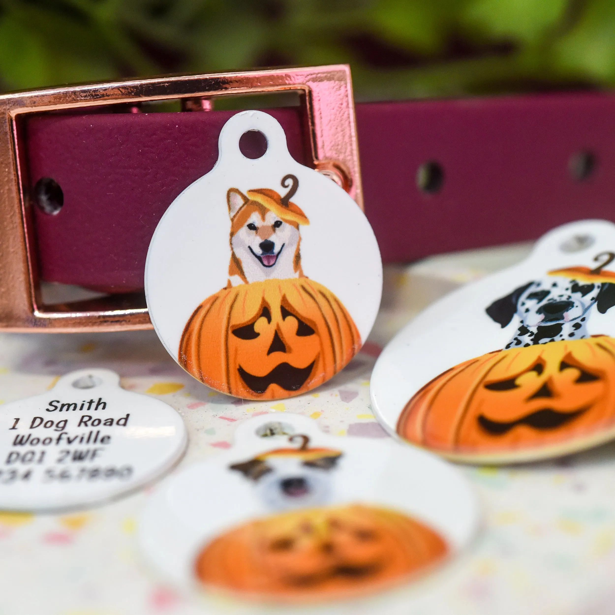 Dog ID Tag Personalised - Cute Pumpkin Halloween