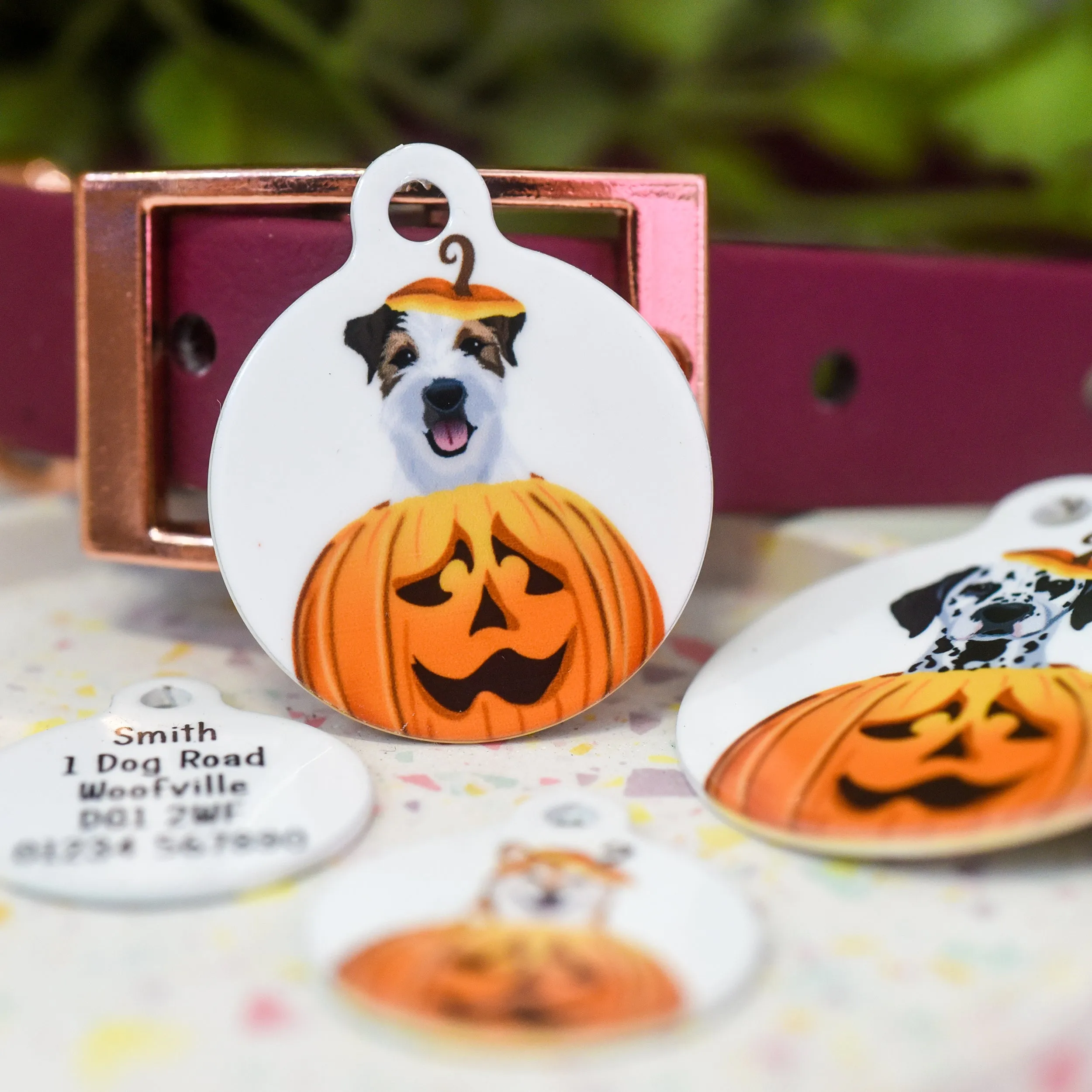 Dog ID Tag Personalised - Cute Pumpkin Halloween