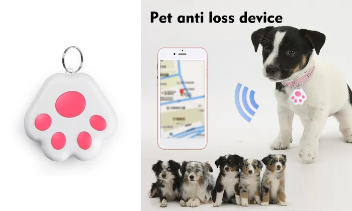 Dog Paw BT Locator