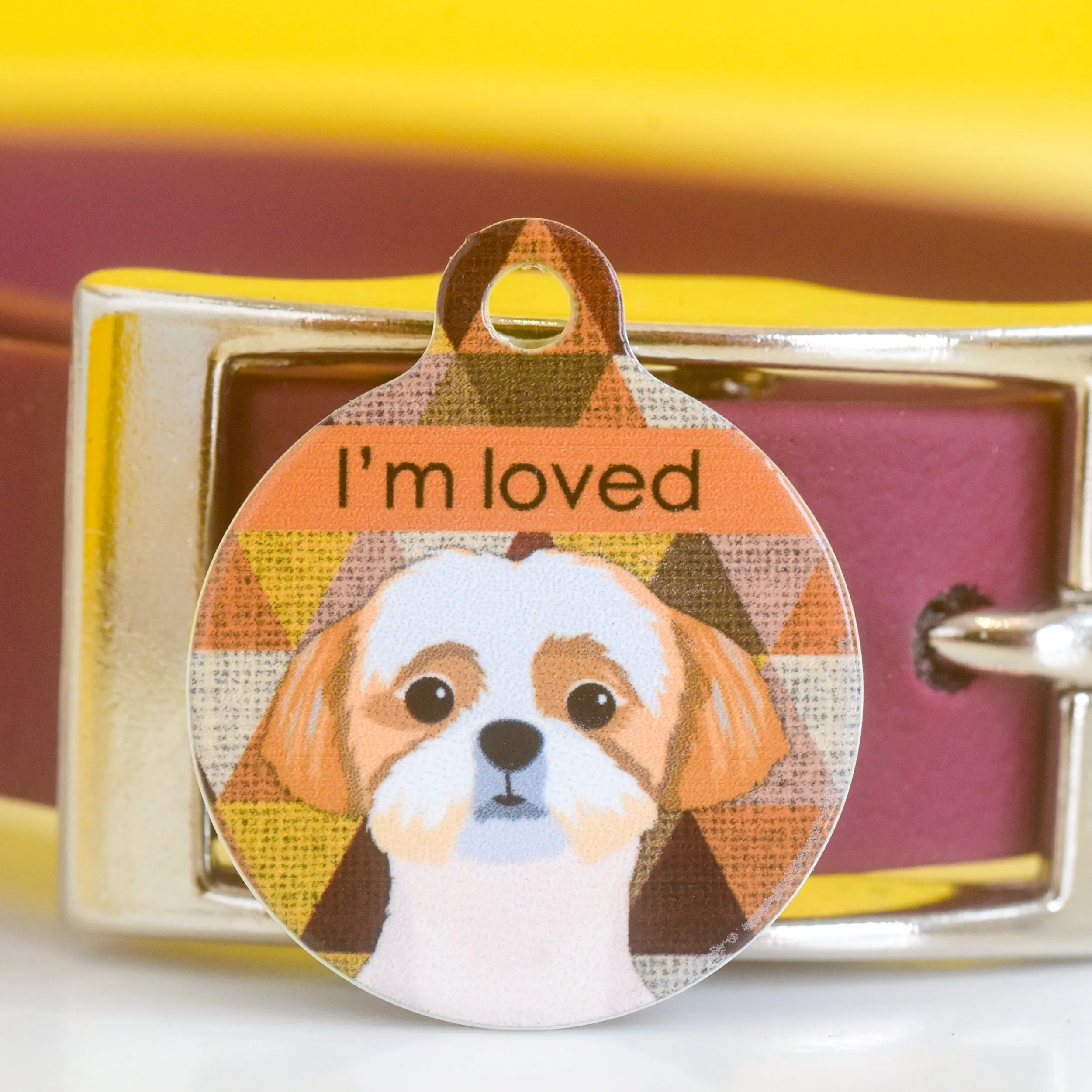 Dog Tag Personalised - Autumn Harlequin