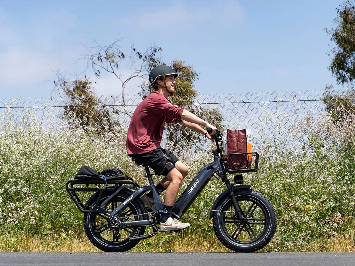 EZE Ryders HIMIWAY Big Dog 750 w Ready to Ride Step Thru Ebike 20x4 Electric Cargo eBike