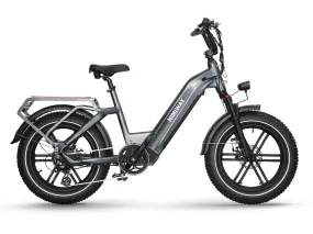 EZE Ryders HIMIWAY Big Dog 750 w Ready to Ride Step Thru Ebike 20x4 Electric Cargo eBike