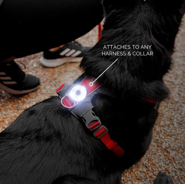 EzyDog Go-2 Dog Safety Light Red