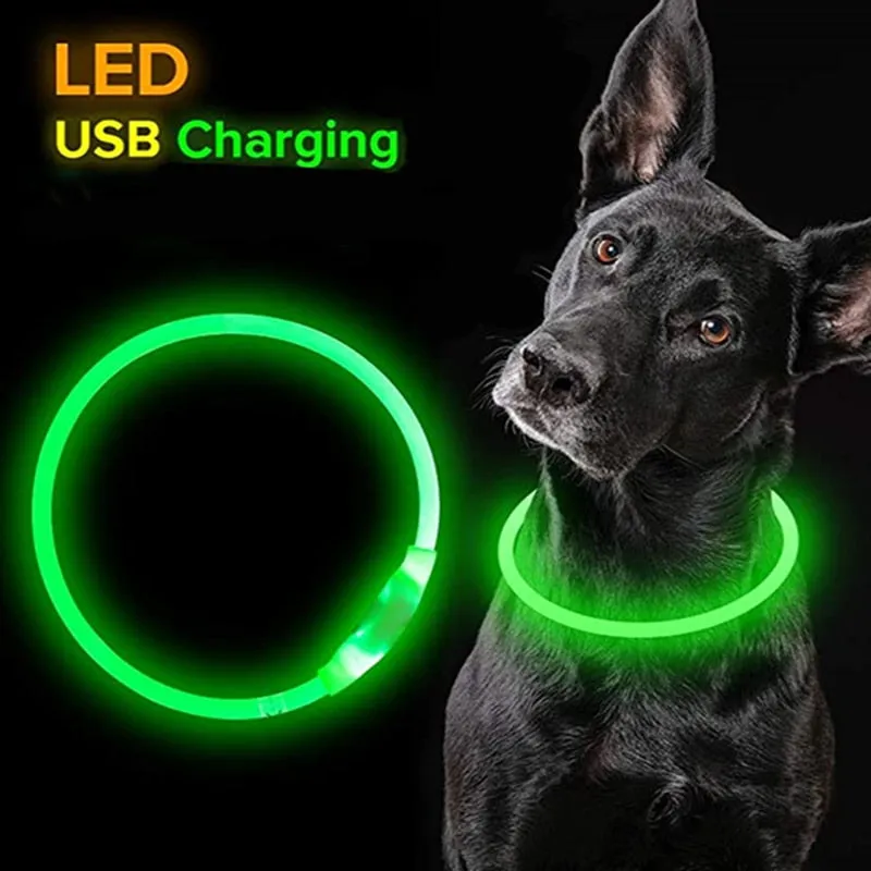 Flashing LED Light Safety Dog Collar