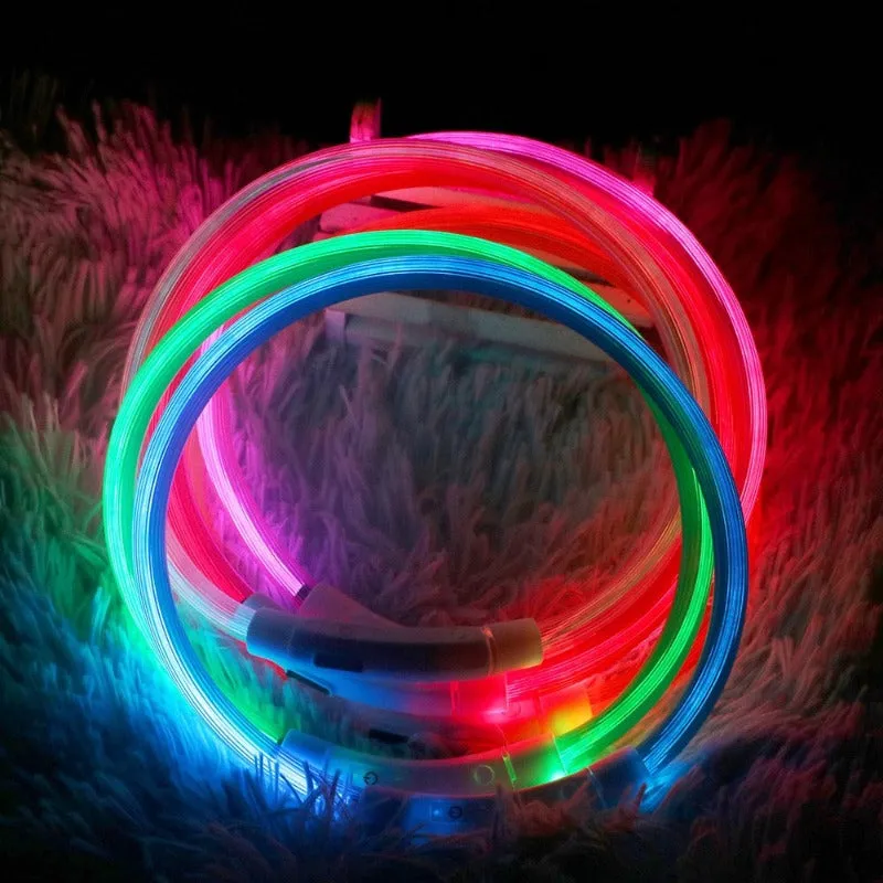 Flashing LED Light Safety Dog Collar