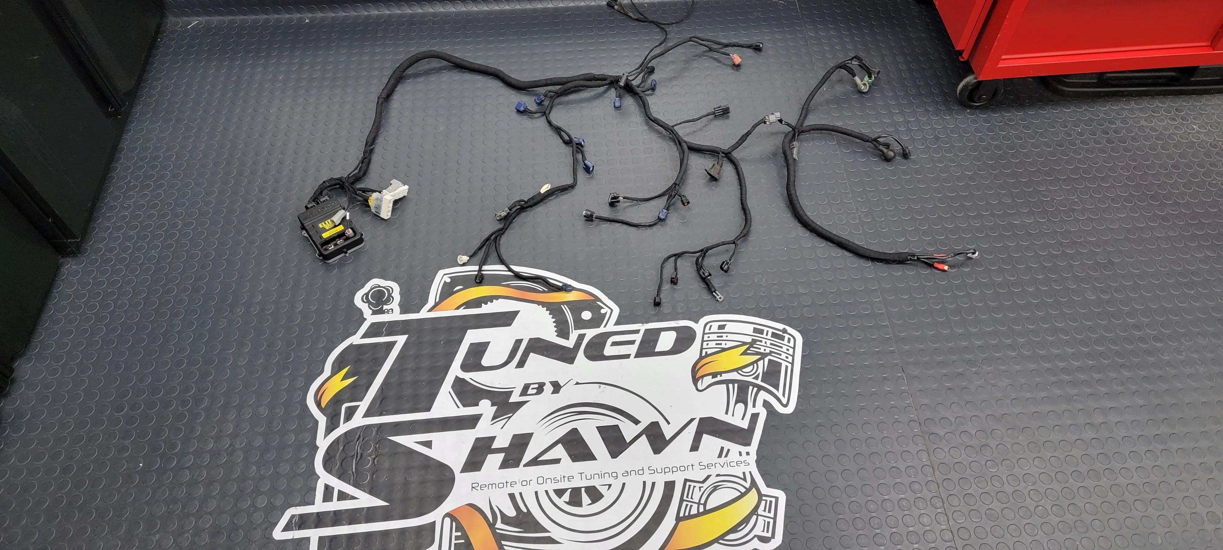 Haltech - Mazda Rx8 K20/K24 Swap Rx8 Engine Harness