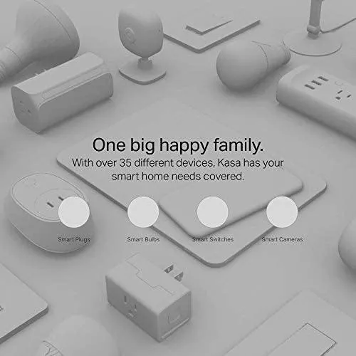 Kasa Smart Indoor Home Camera.