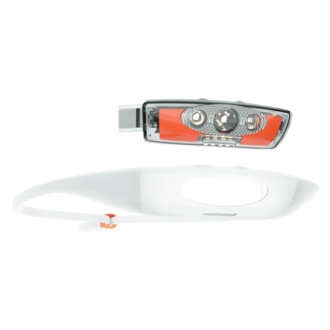 Knog - Bandicoot Run 250 Lumen Headlamp - Coral