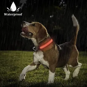 Led Dog Collar