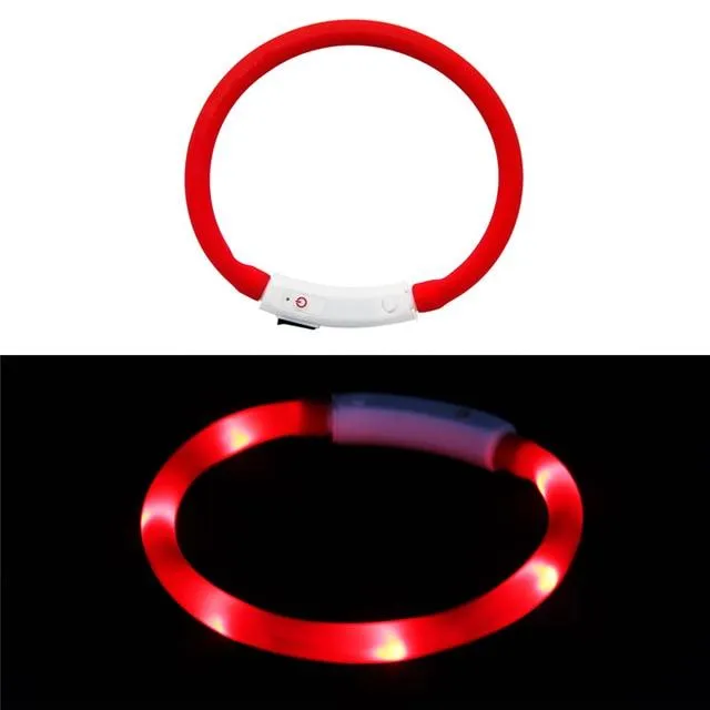 LED Lighted Collars to Keep Pets SAFE at Night!  Rechargeable *