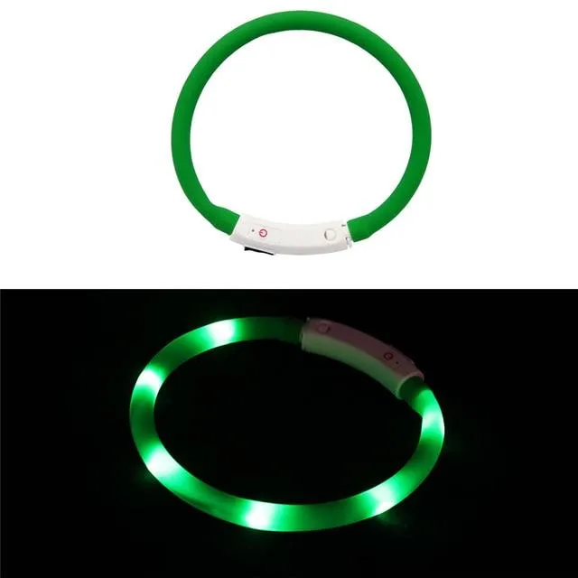 LED Lighted Collars to Keep Pets SAFE at Night!  Rechargeable *