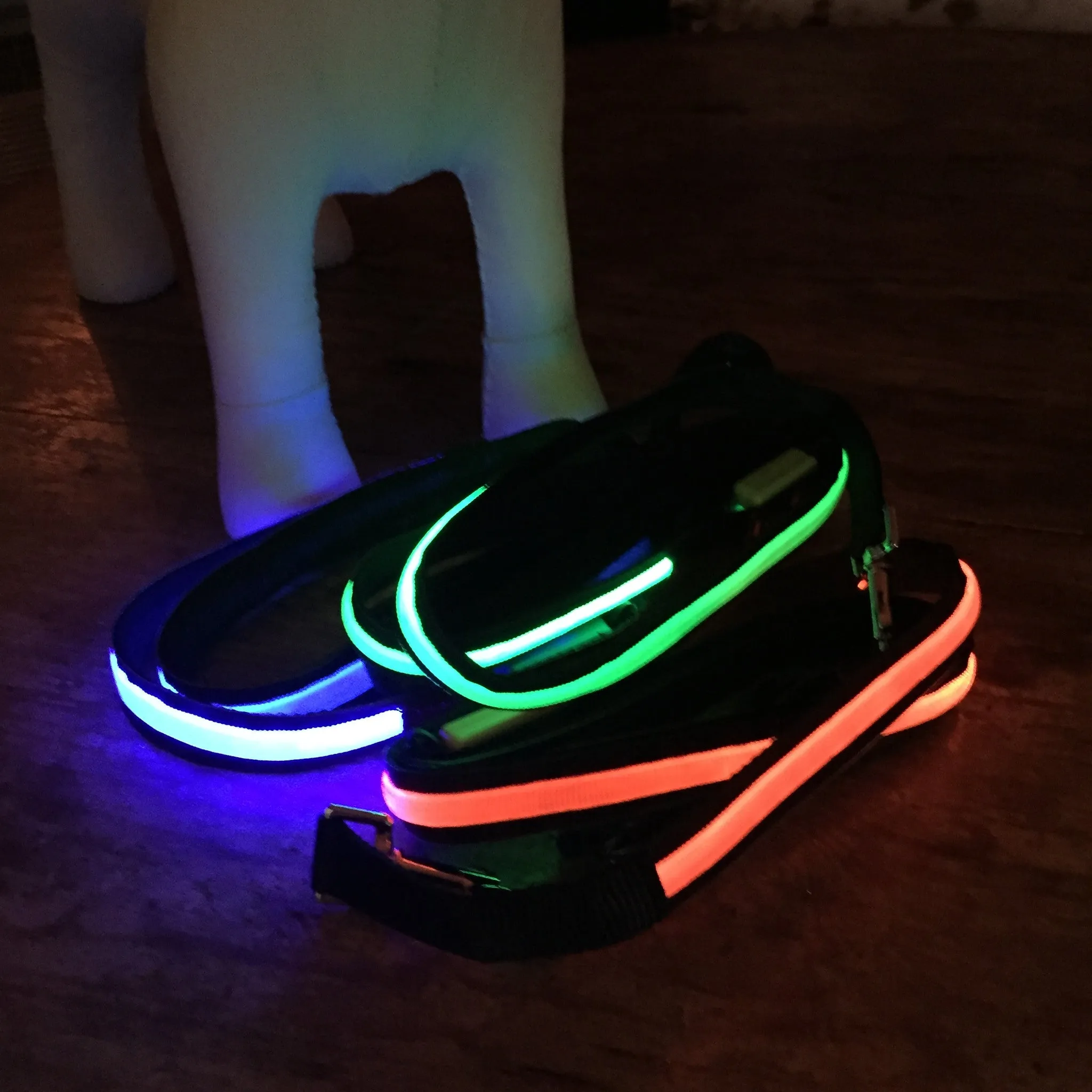 Lumi LED Illuminated Pet Leashes