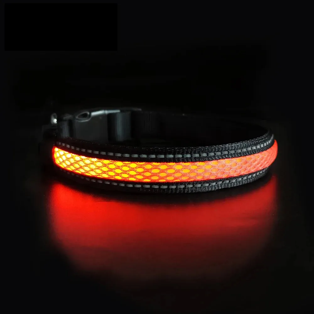 MASBRILL LED Dog Collar Luminous Pet Products Safety Stylish Flashing Glow Necklace Waterproof Reflective Pet Dog Accessories