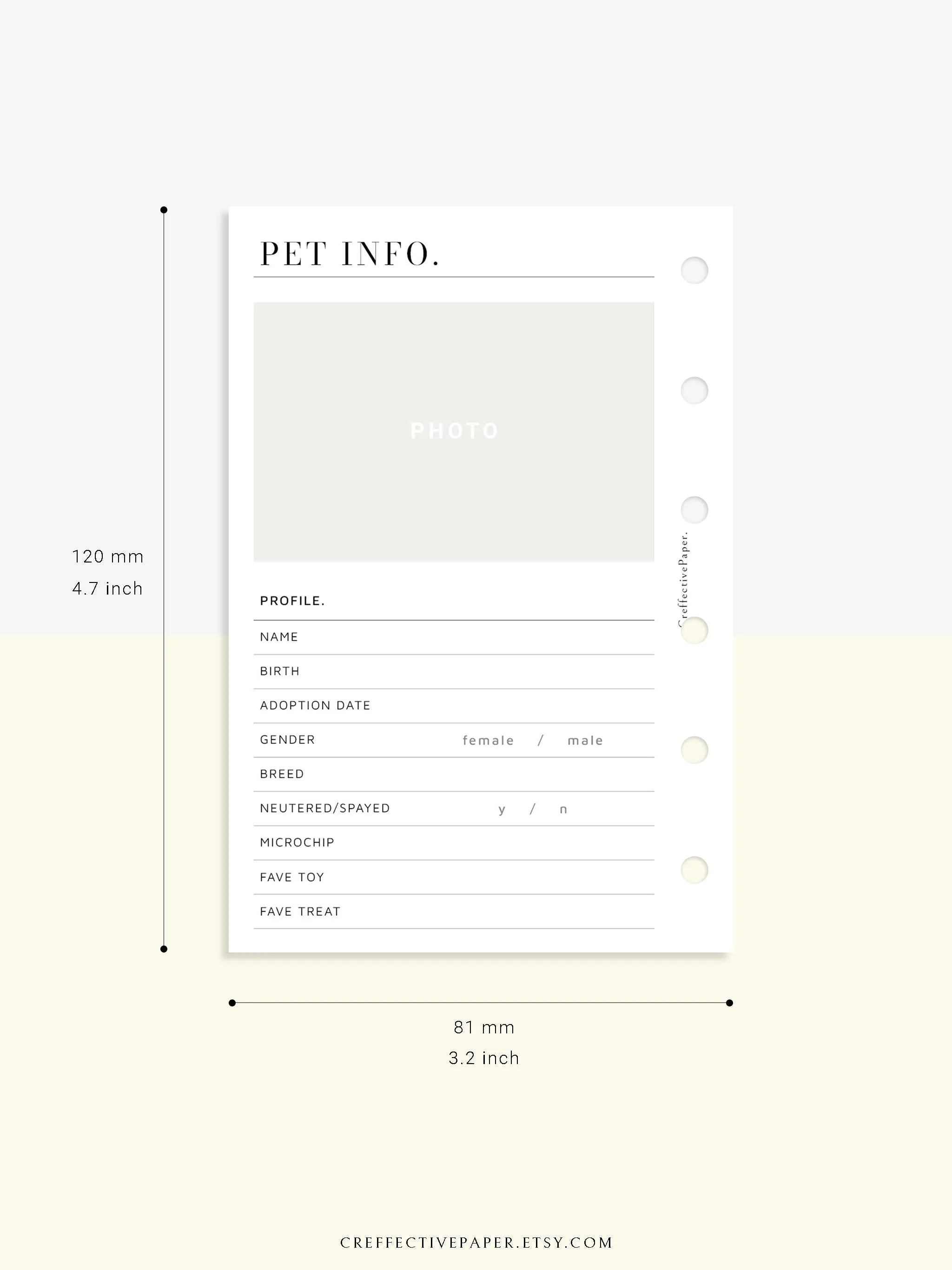 N110 | Printable Pet Information & Care Planner Template