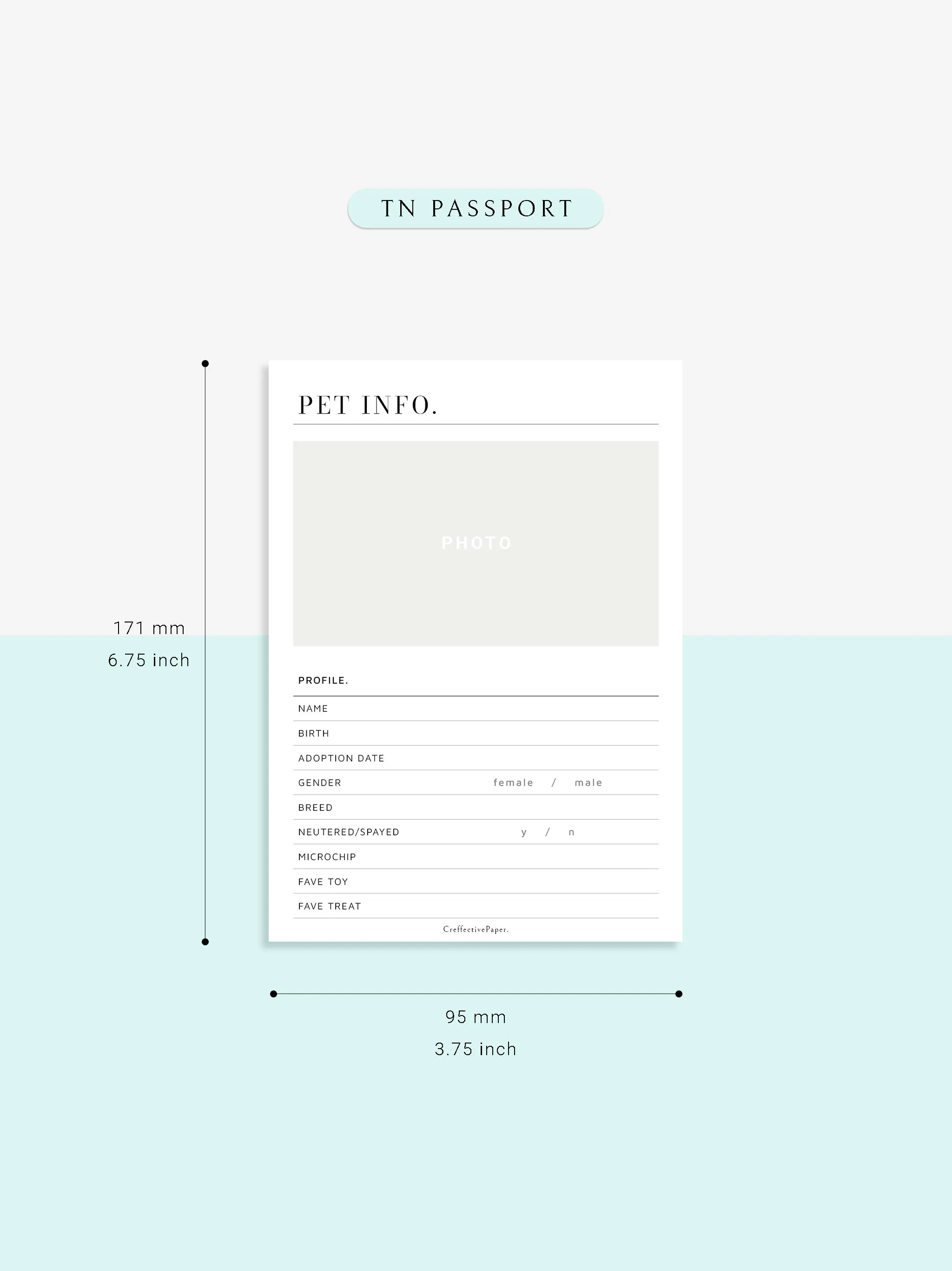 N110 | Printable Pet Information & Care Planner Template