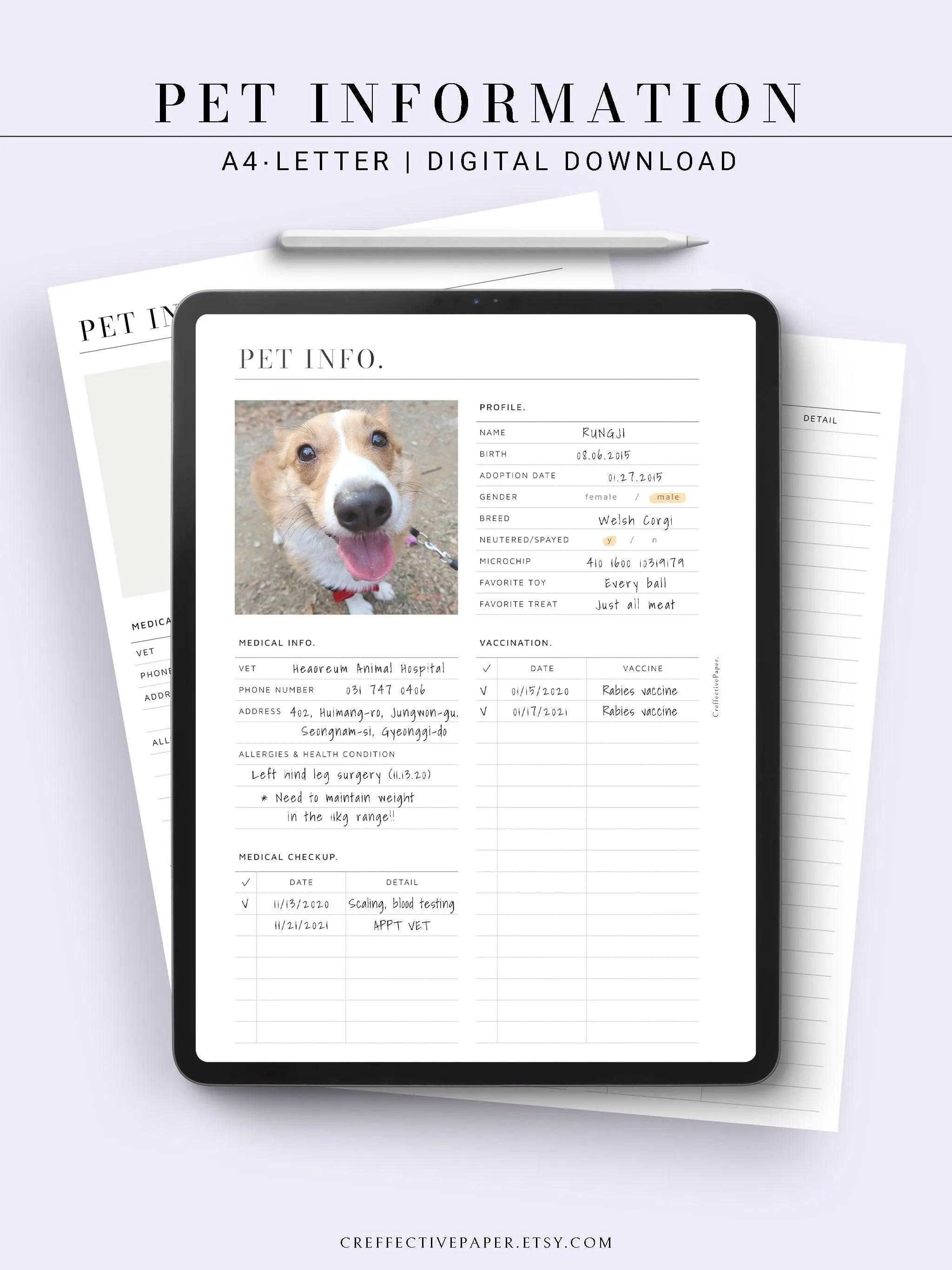 N110 | Printable Pet Information & Care Planner Template