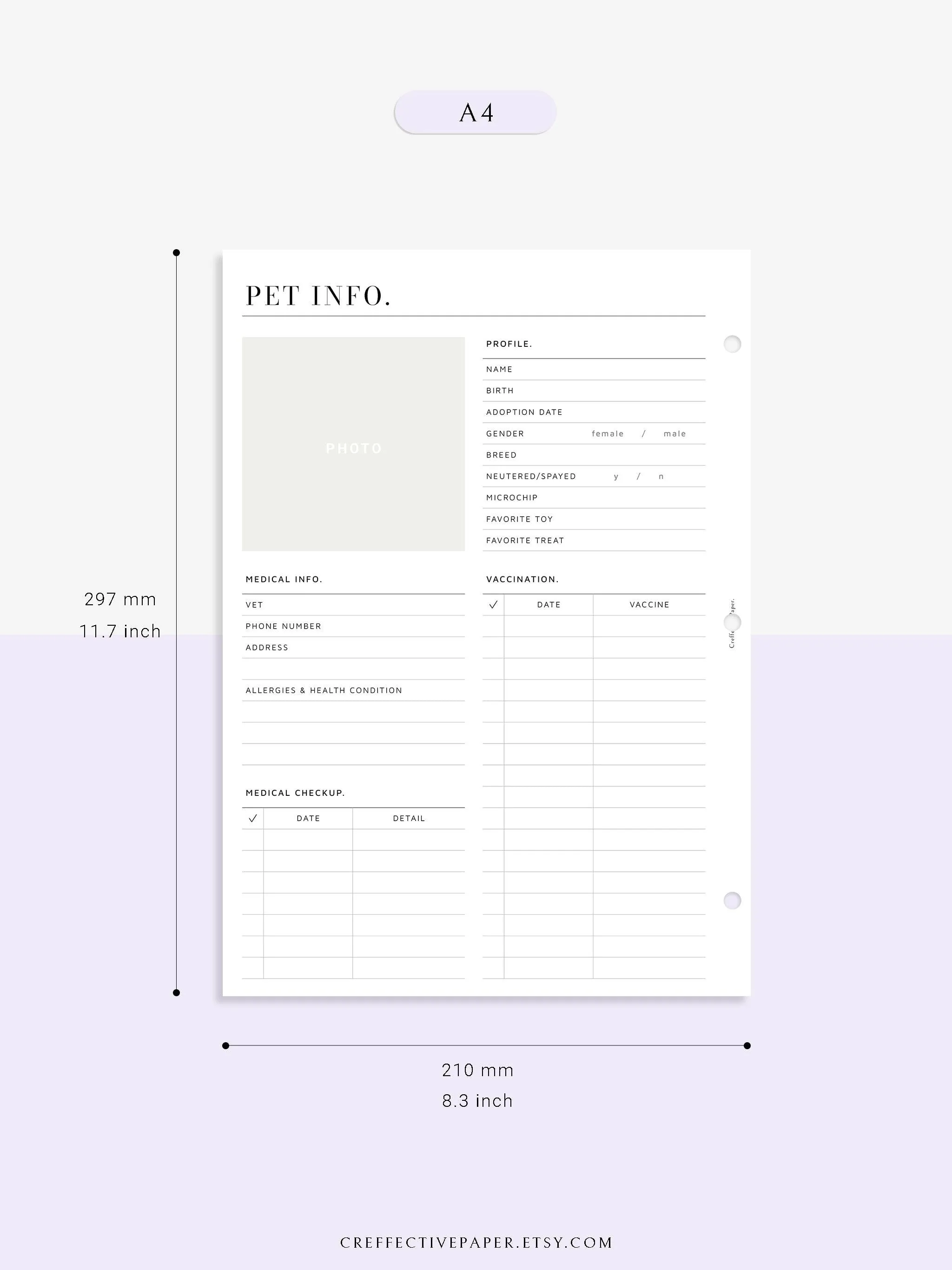 N110 | Printable Pet Information & Care Planner Template