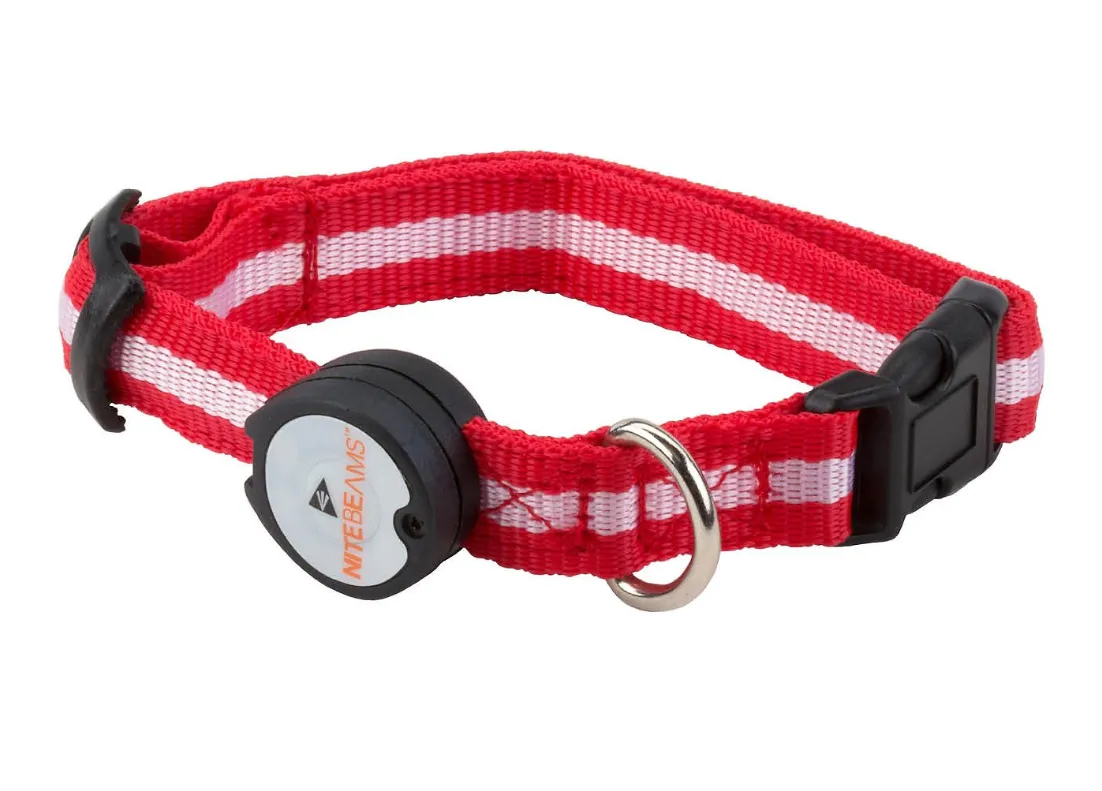 Nite Beams LED USB Rechargeable Dog Collar