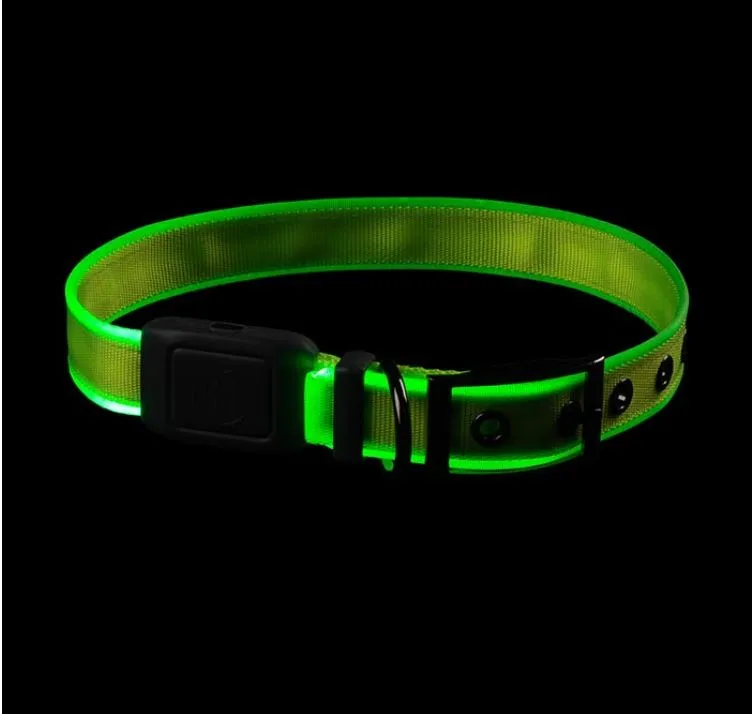 Nite Ize NiteDog Rechargeable LED Dog Collar