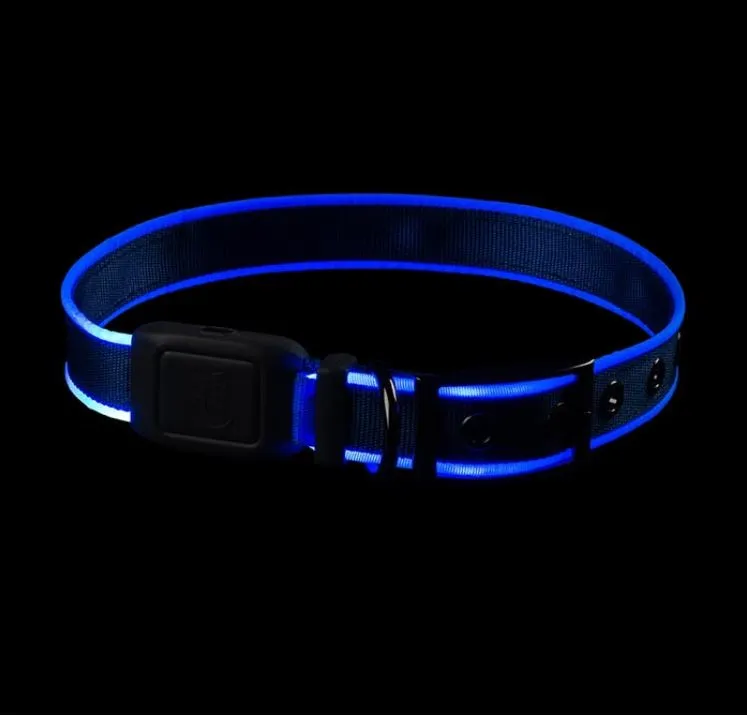 Nite Ize NiteDog Rechargeable LED Dog Collar