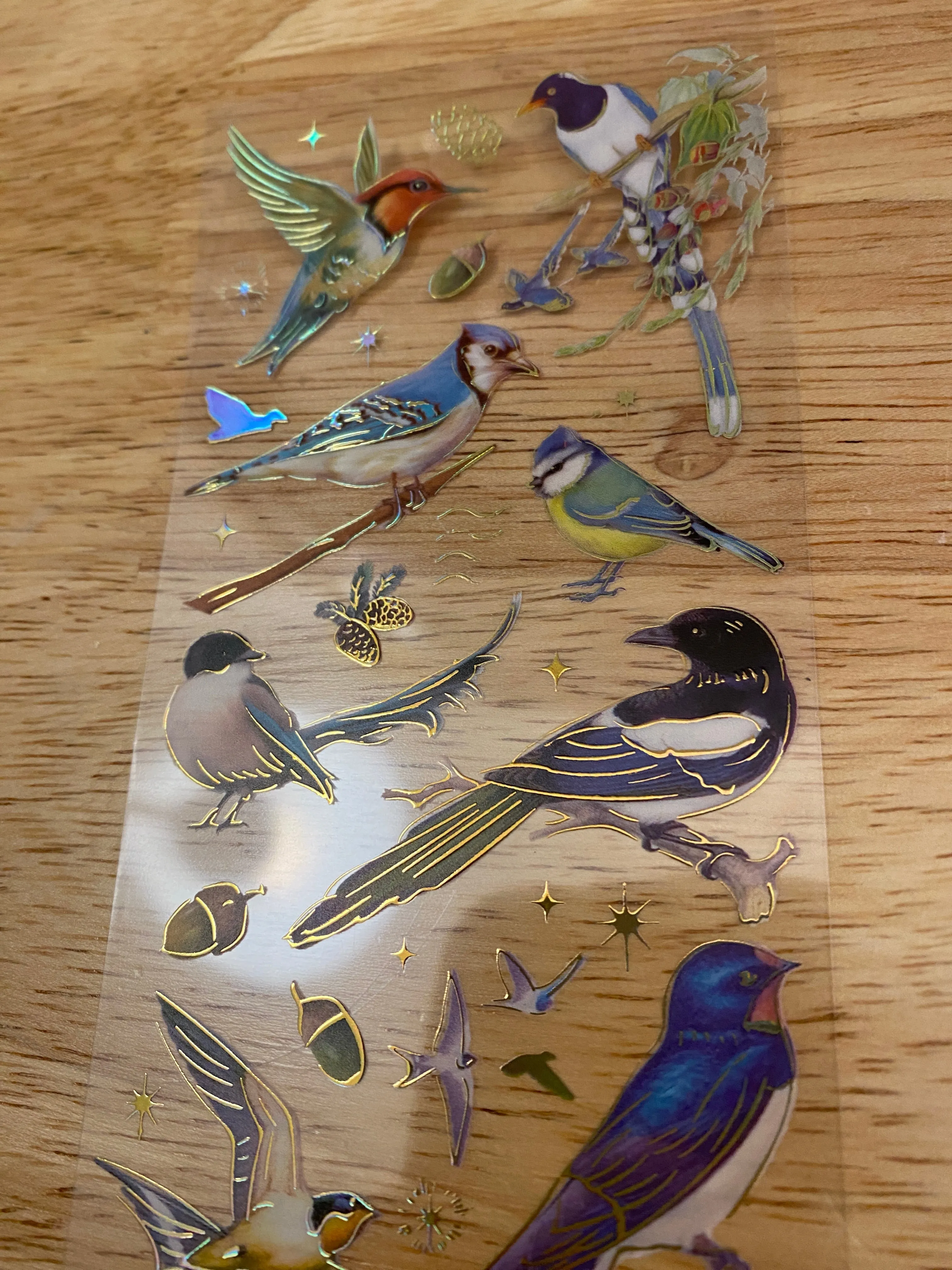 PET Foil Clear Tape with Blue Birds