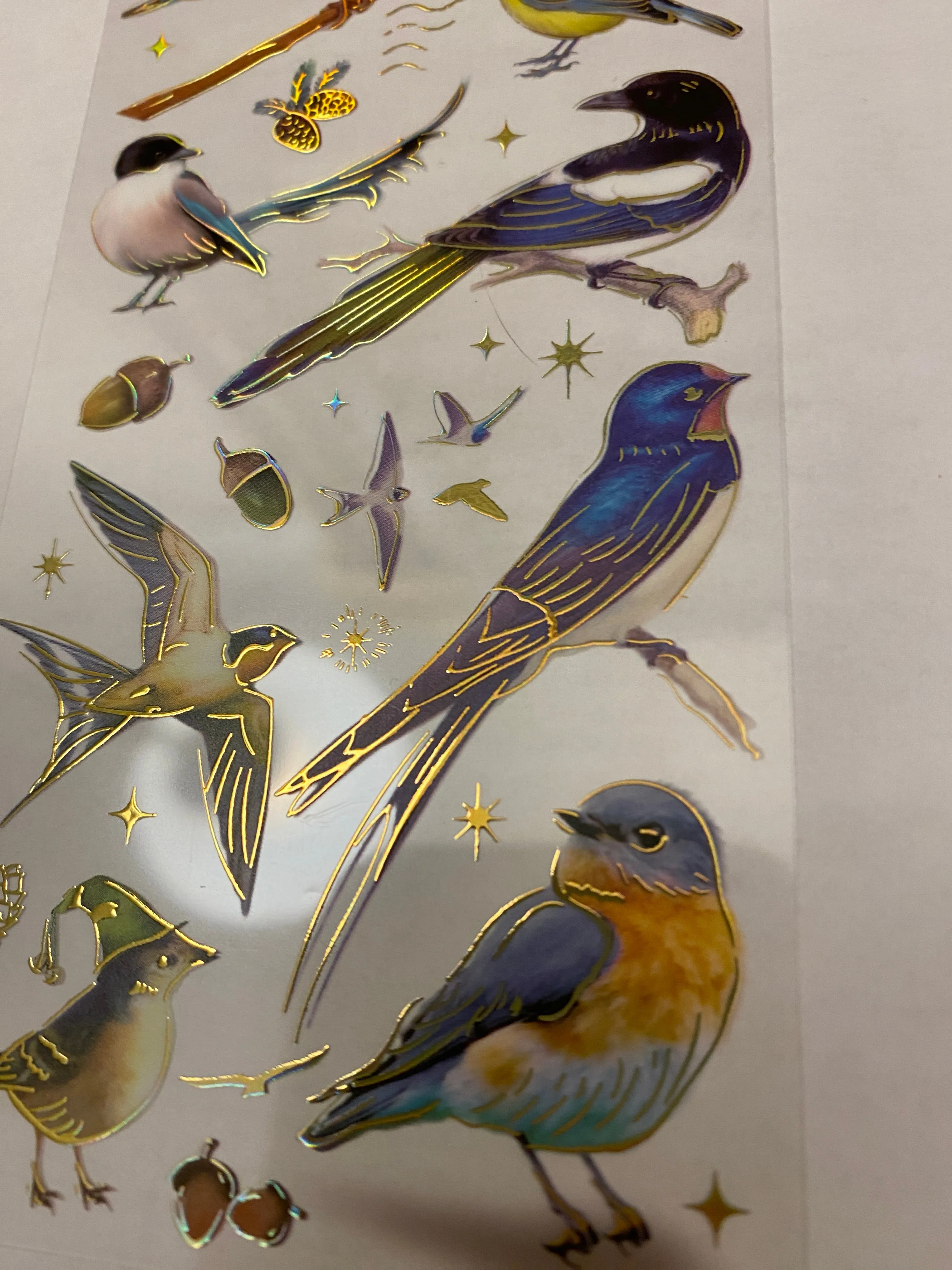 PET Foil Clear Tape with Blue Birds